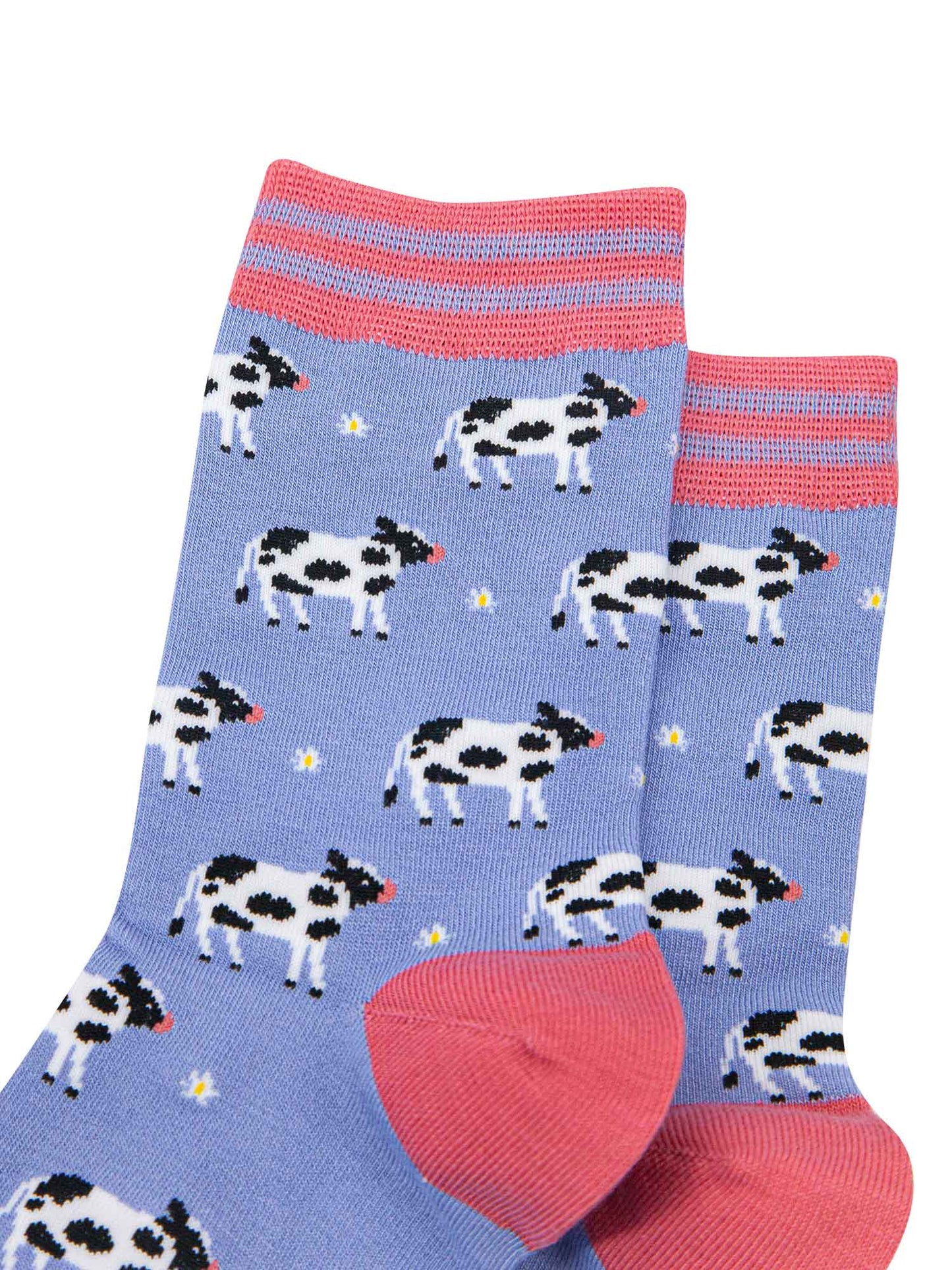 close up of the black and white cows and daisies on the lilac socks