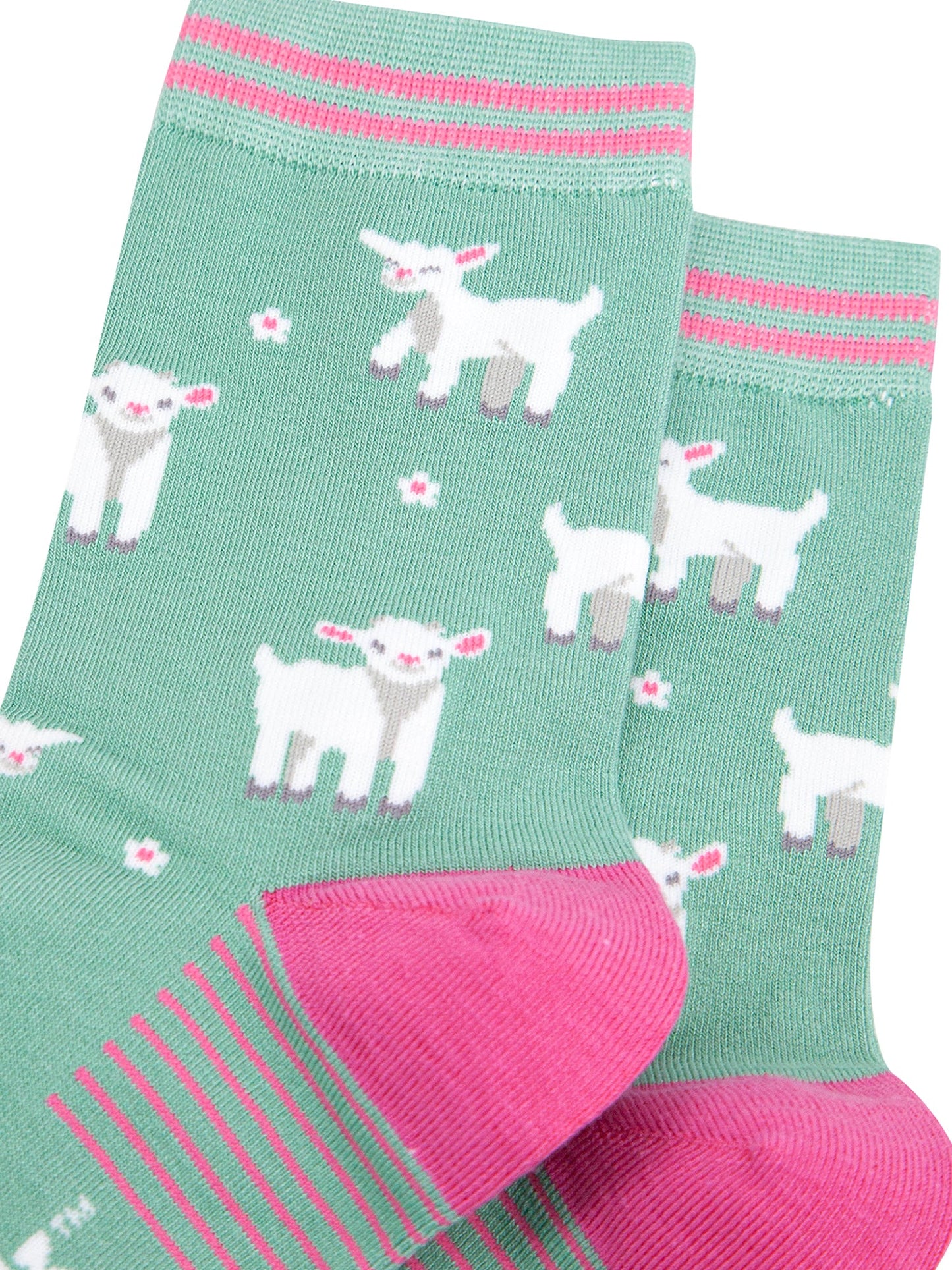 Spring-Lambs-Bamboo-Socks-in-Green-Closeup