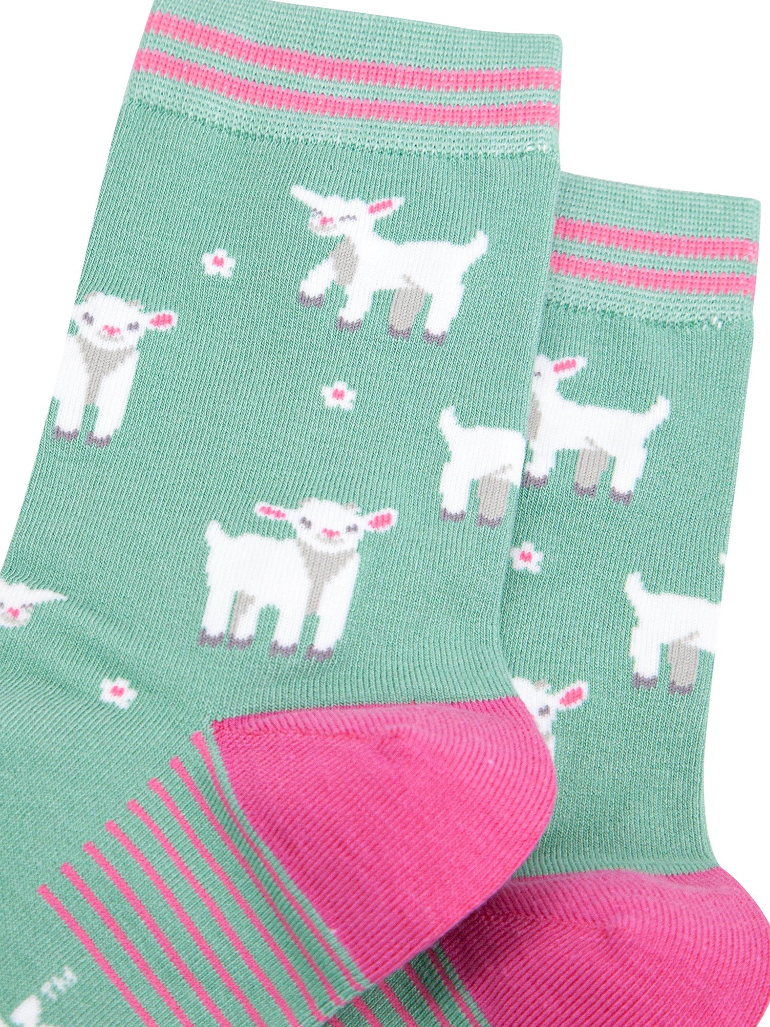 Spring-Lambs-Bamboo-Socks-in-Green-Closeup