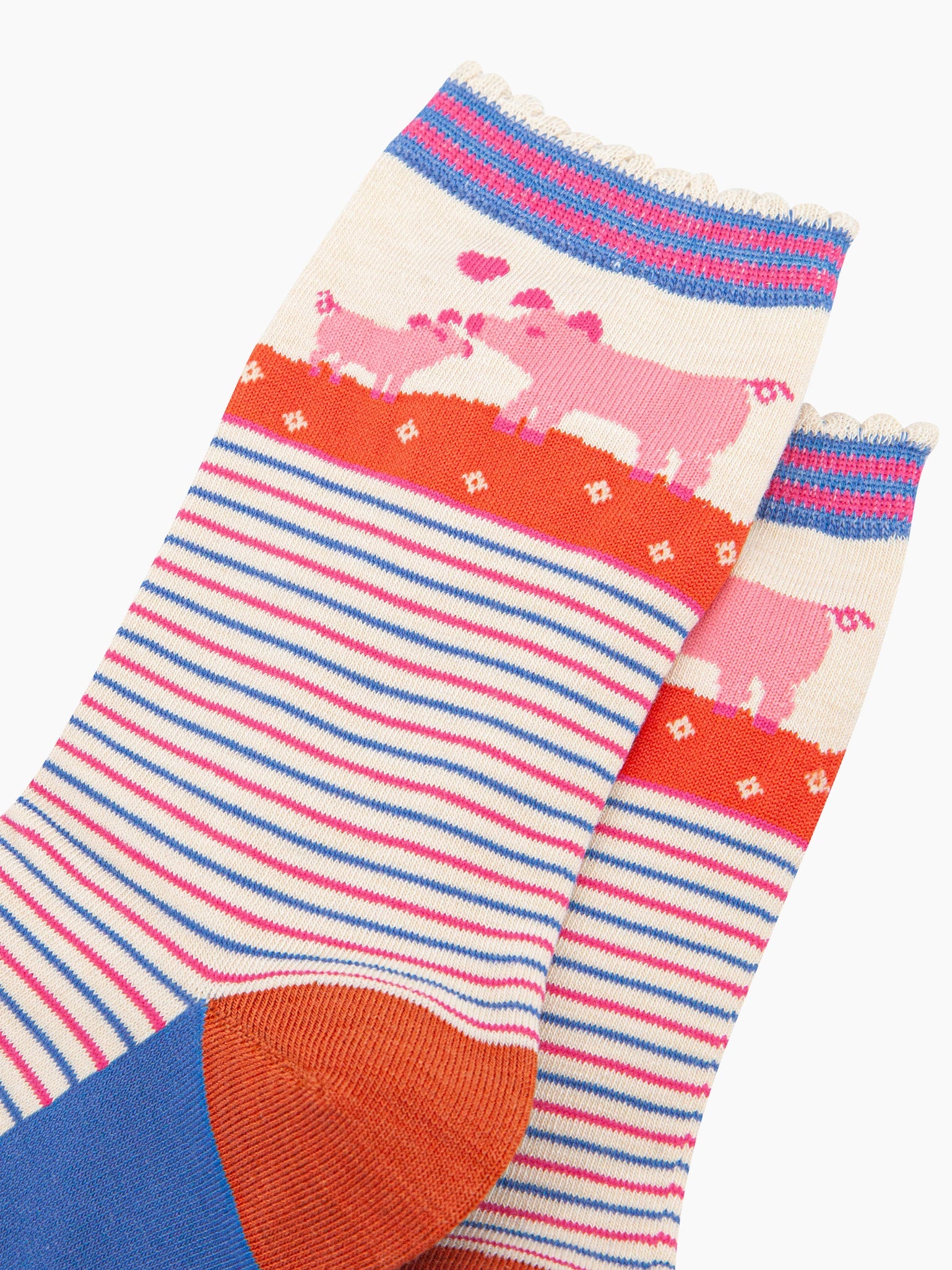 close up of the pattern, the ankle part of the socks features a pink mother pig nuzzling her baby piglet. between the pigs is a pink love heart. the cuff of the socks is scalloped and has a pink and blue stiped pattern.