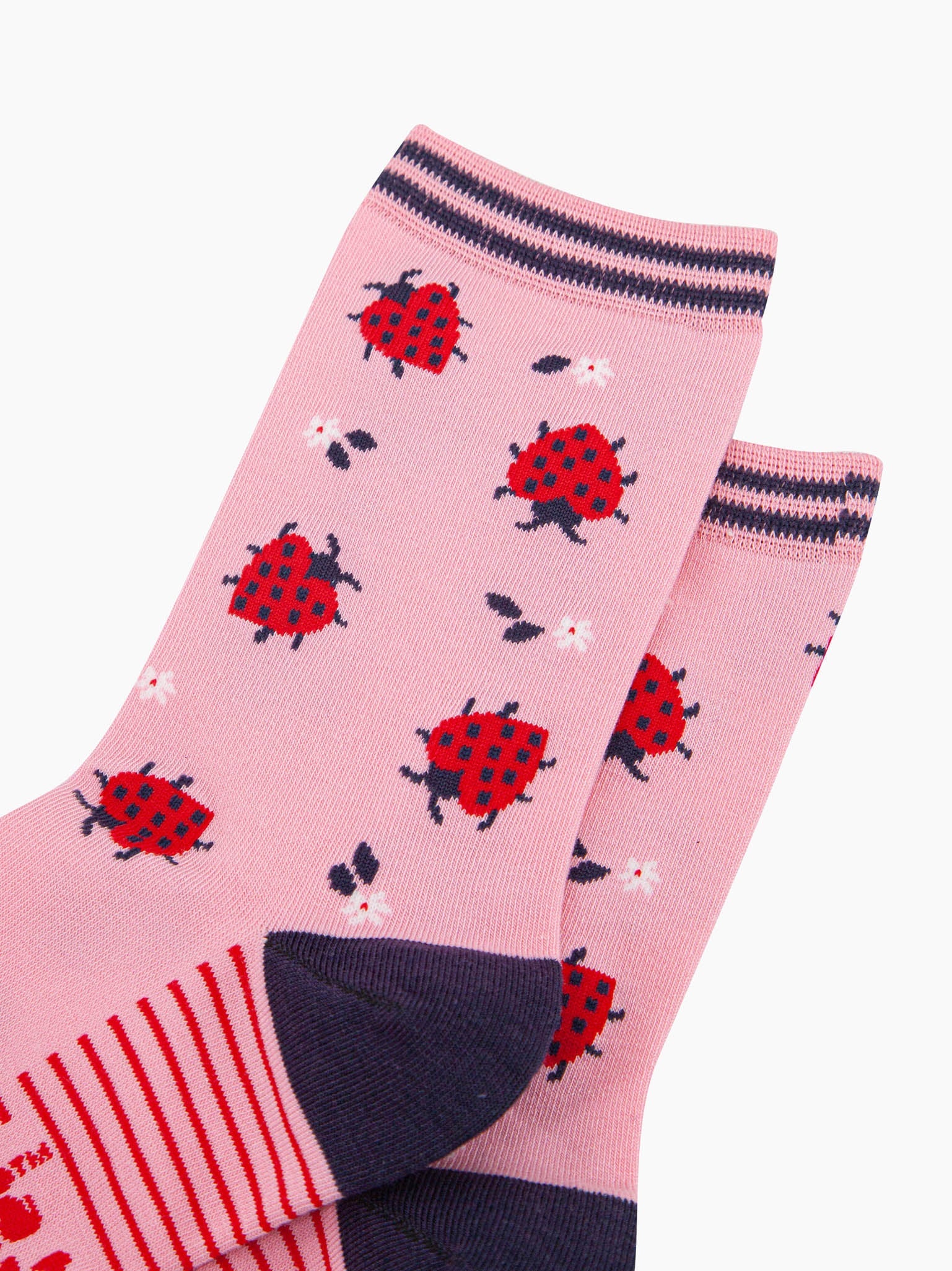 womens-bamboo-socks-pink-ladybird-close-up-red-love-heart-shaped-ladybirds-dainty-white-flowers-navy-striped-cuff
