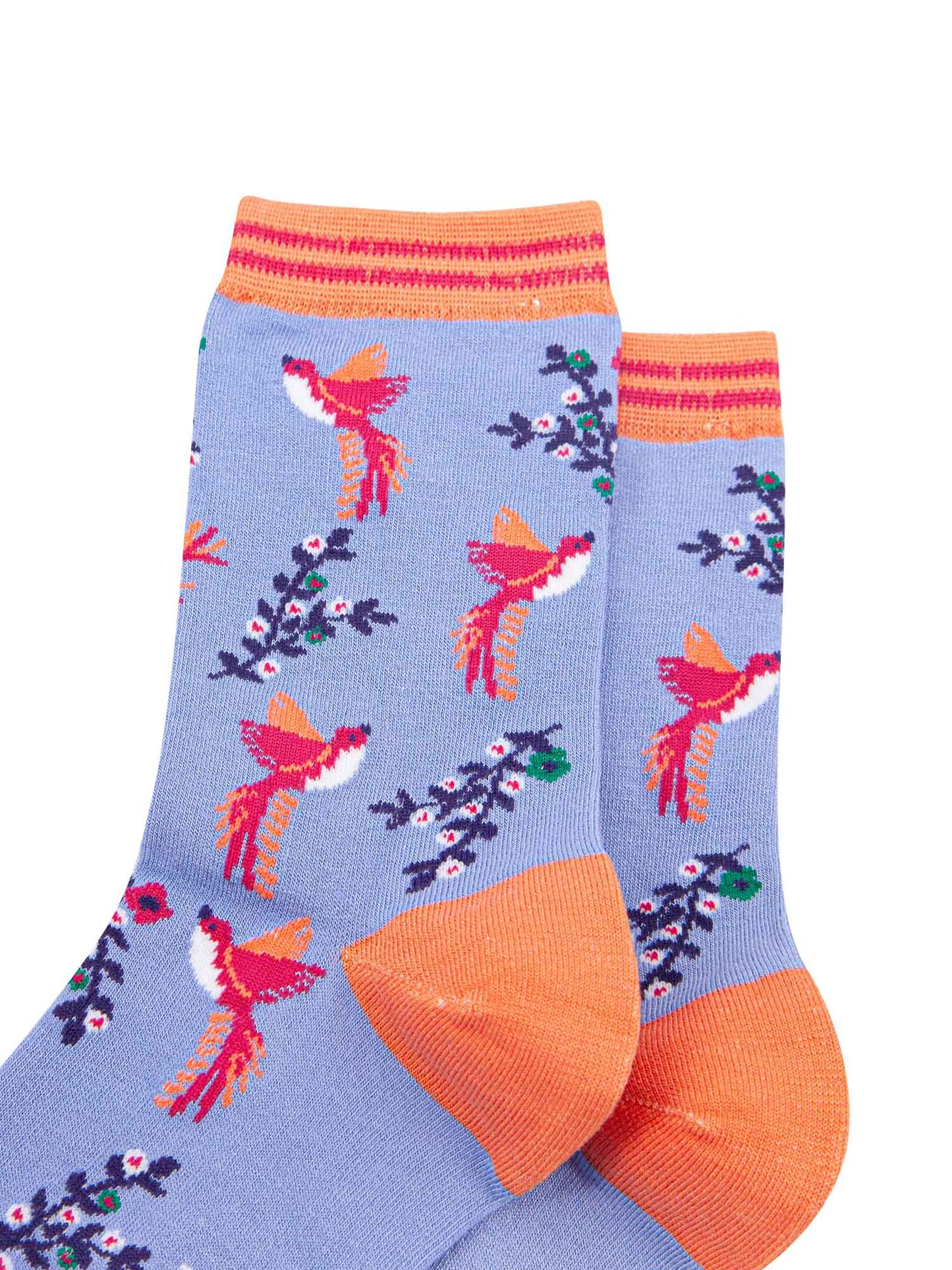 close up of the pink hummingbird print on the bamboo ankle socks, a close up of the orange and pink stiped cuff