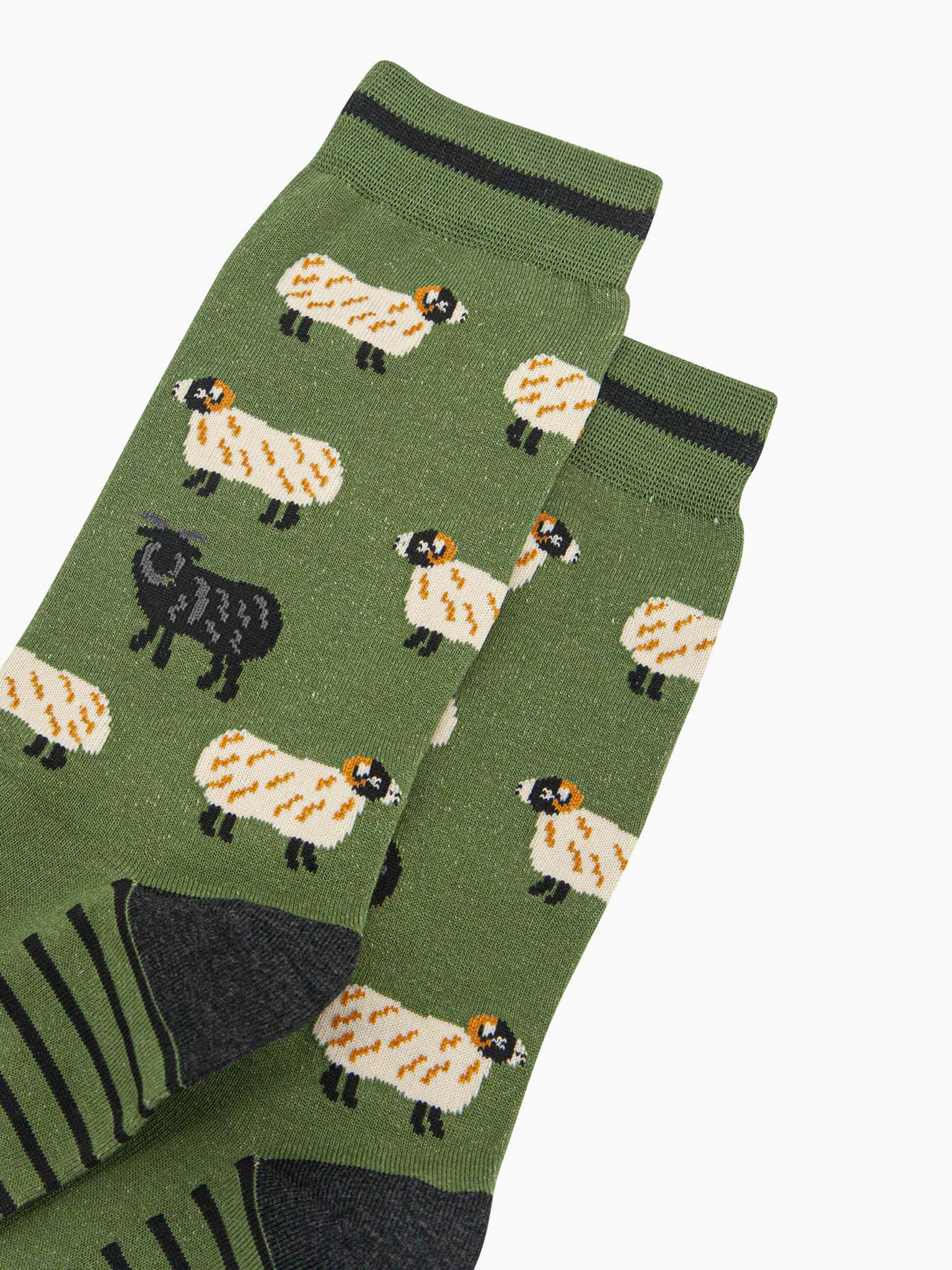 mens-bamboo-socks-green-black-sheep-close-up-one-black-sheep-among-a-flock-of-white-sheep