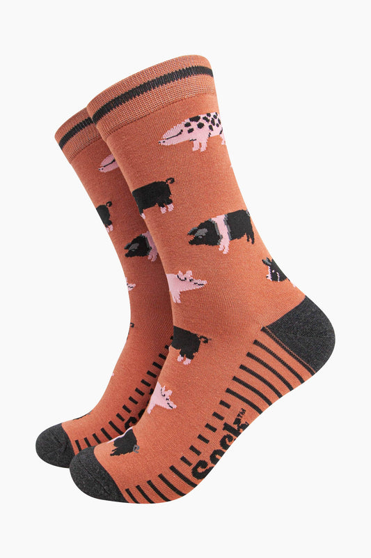 mens-bamboo-socks-rust-pigs-pattern-spotted-striped-pigs-black-pink