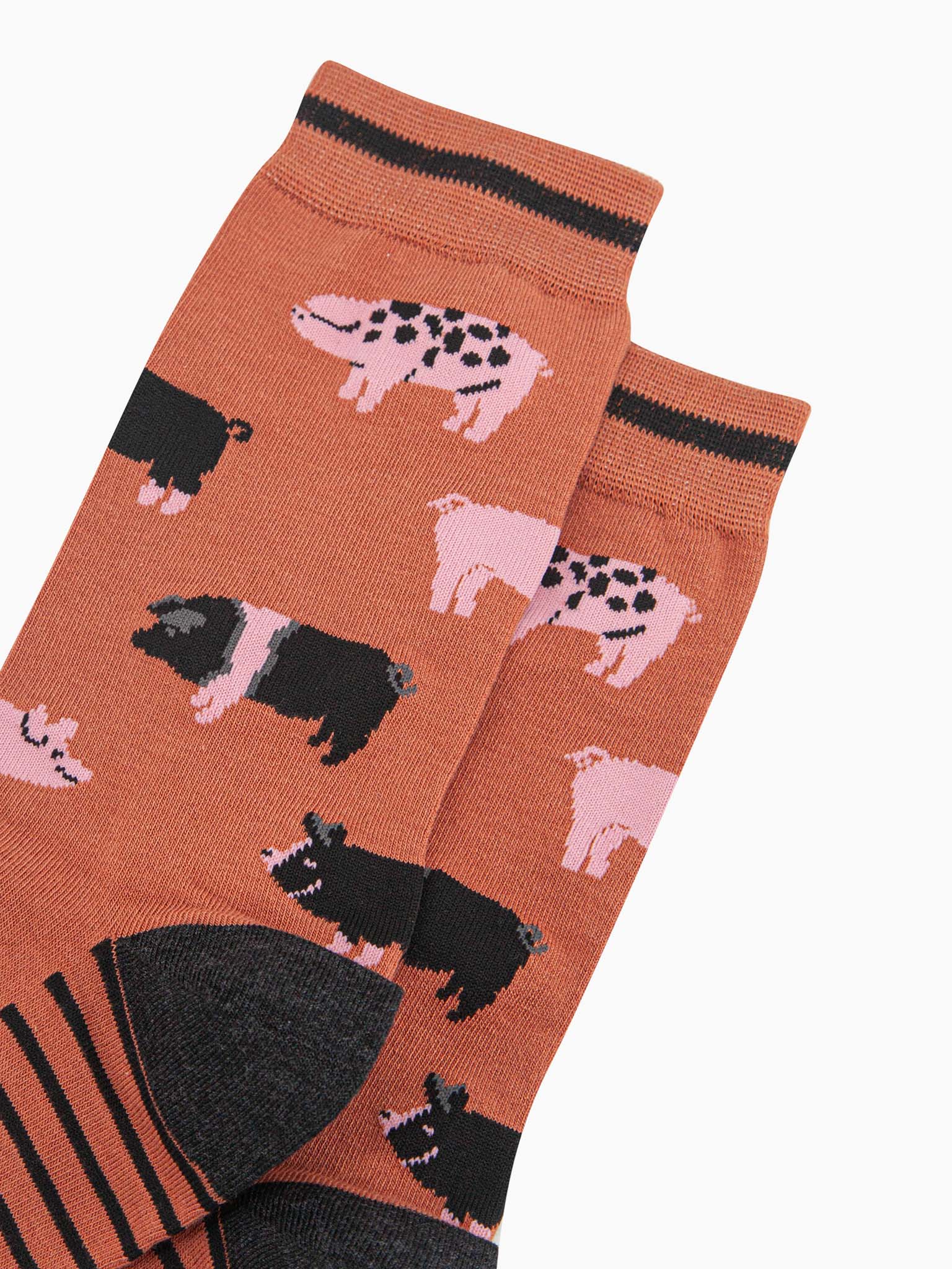 mens-bamboo-socks-rust-pigs-close-up-a-varitety-of-pig-breeds-spotted-striped-pink