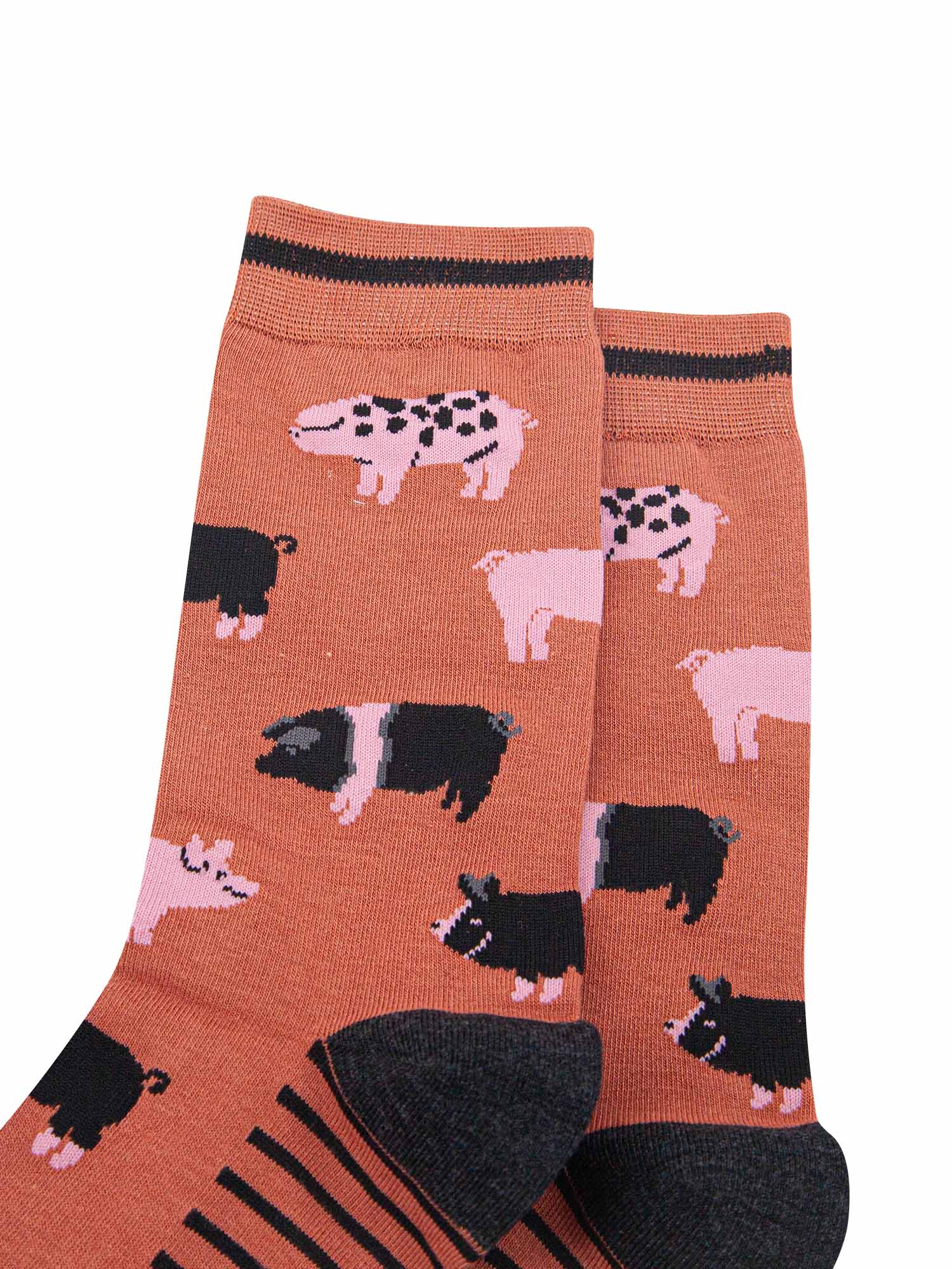 mens-bamboo-socks-rust-pigs-close-up-a-varitety-of-pig-breeds-spotted-striped-pink