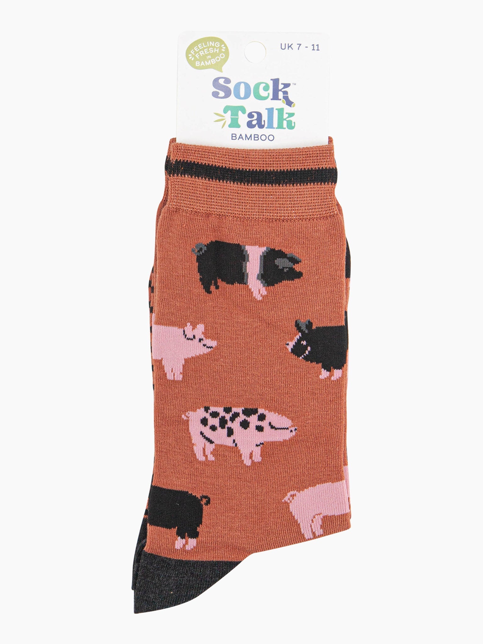 mens-bamboo-socks-rust-pigs-in-sock-talk-packaging-uk-size-7-11