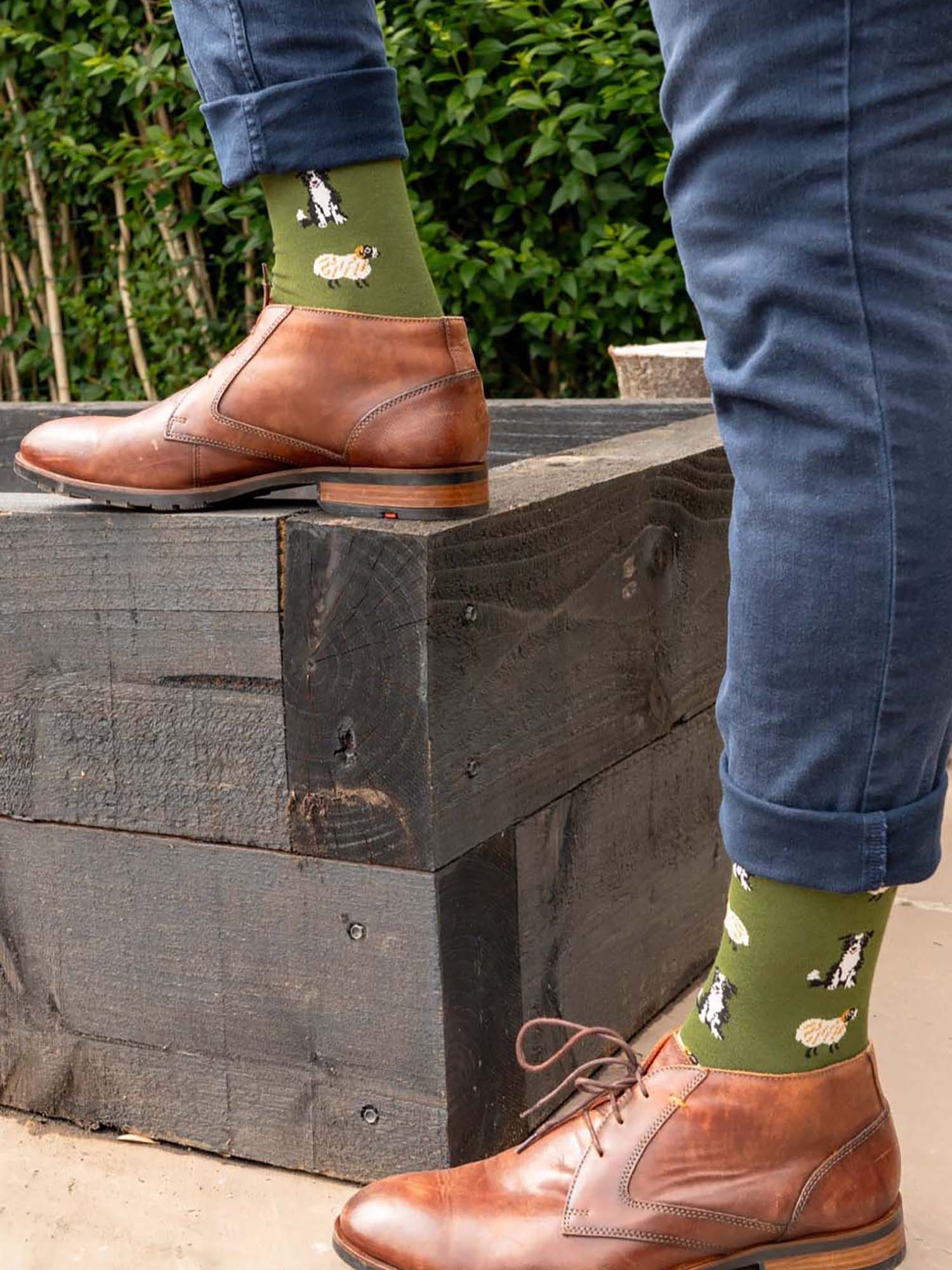 sheep-dog-print-bamboo-socks-in-green