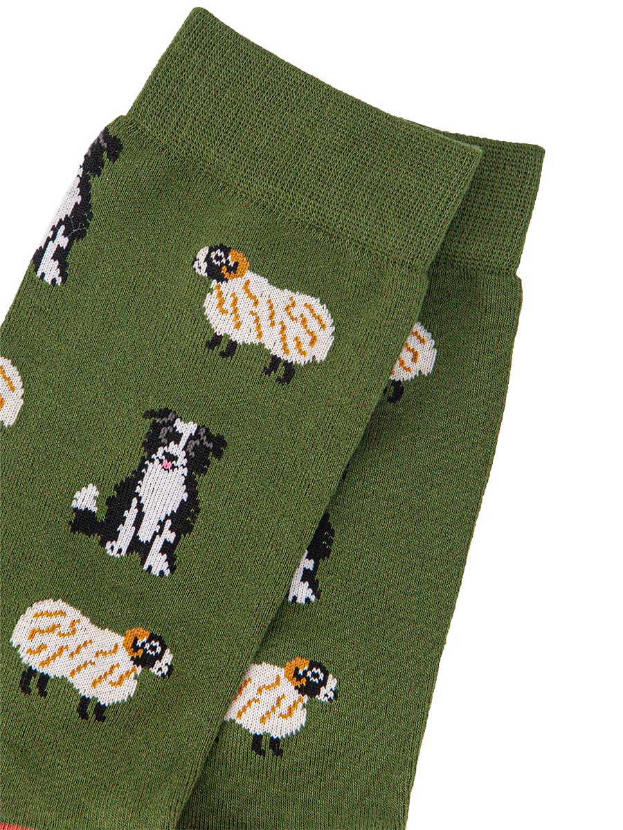 close up of the sheep and sheepdog design on the socks