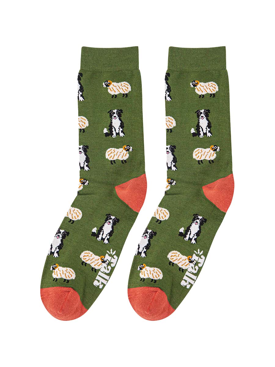 green dress socks with an all over pattern of border collie sheepdogs and sheep