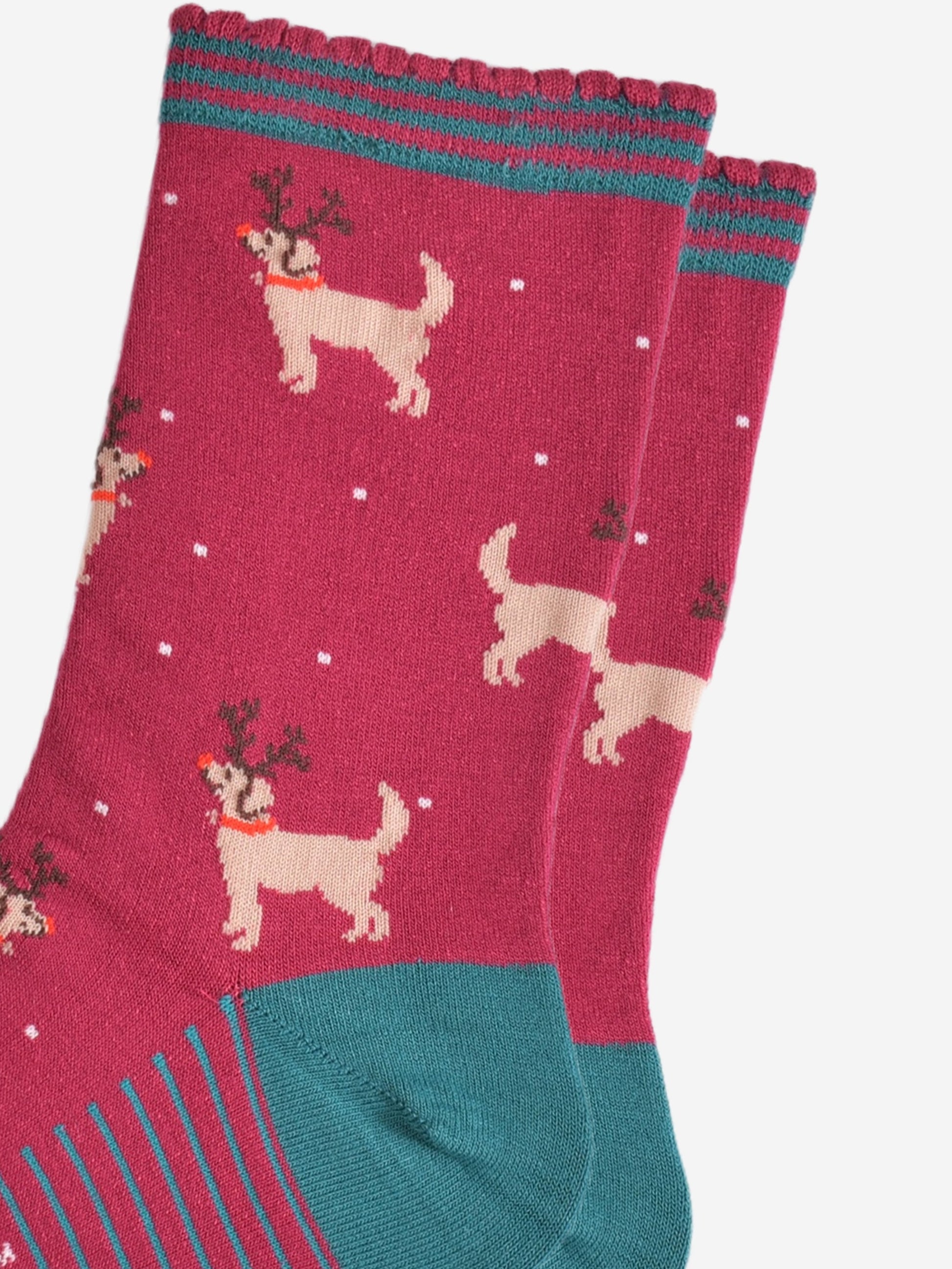 close up of the golden retriever pattern, the dogs are standing and are wearing antlers and red noses