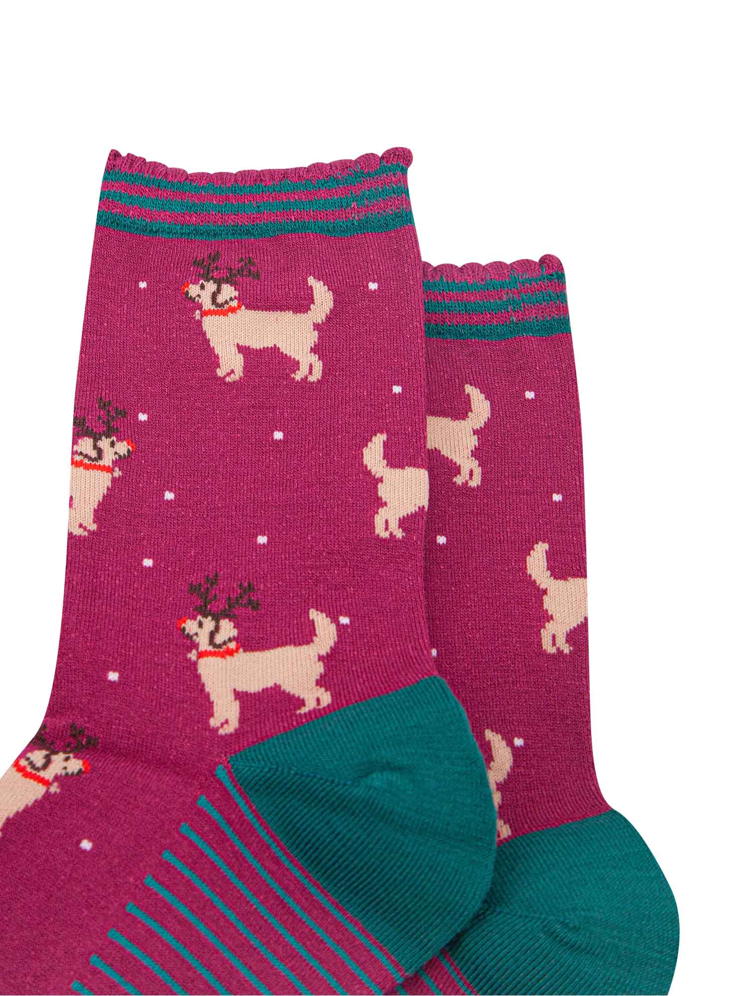 close up of the golden retriever pattern, the dogs are standing and are wearing antlers and red noses