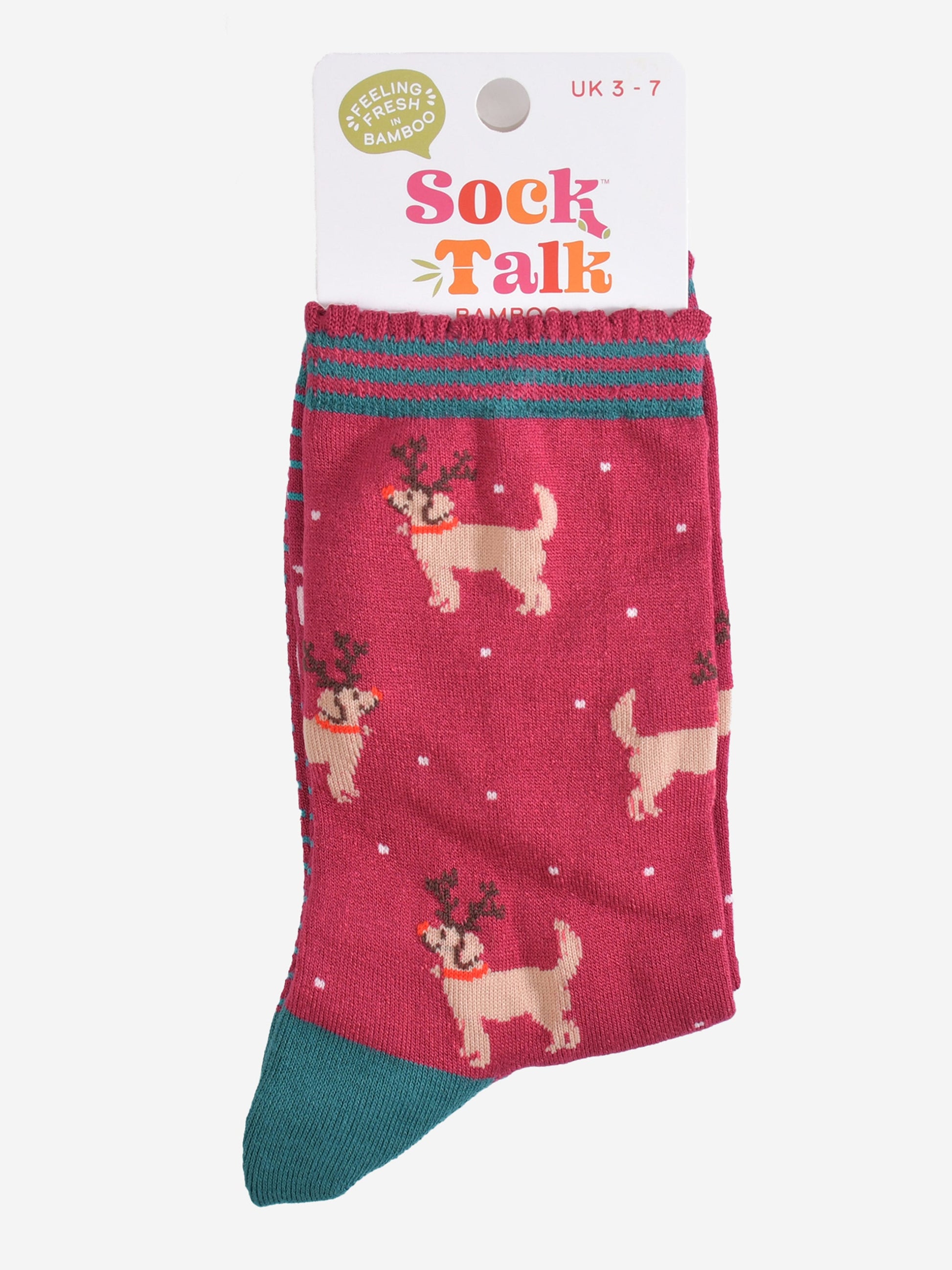 christmas golden retriever bamboo socks in their sock talk packaging, these socks are a uk size 3-7 