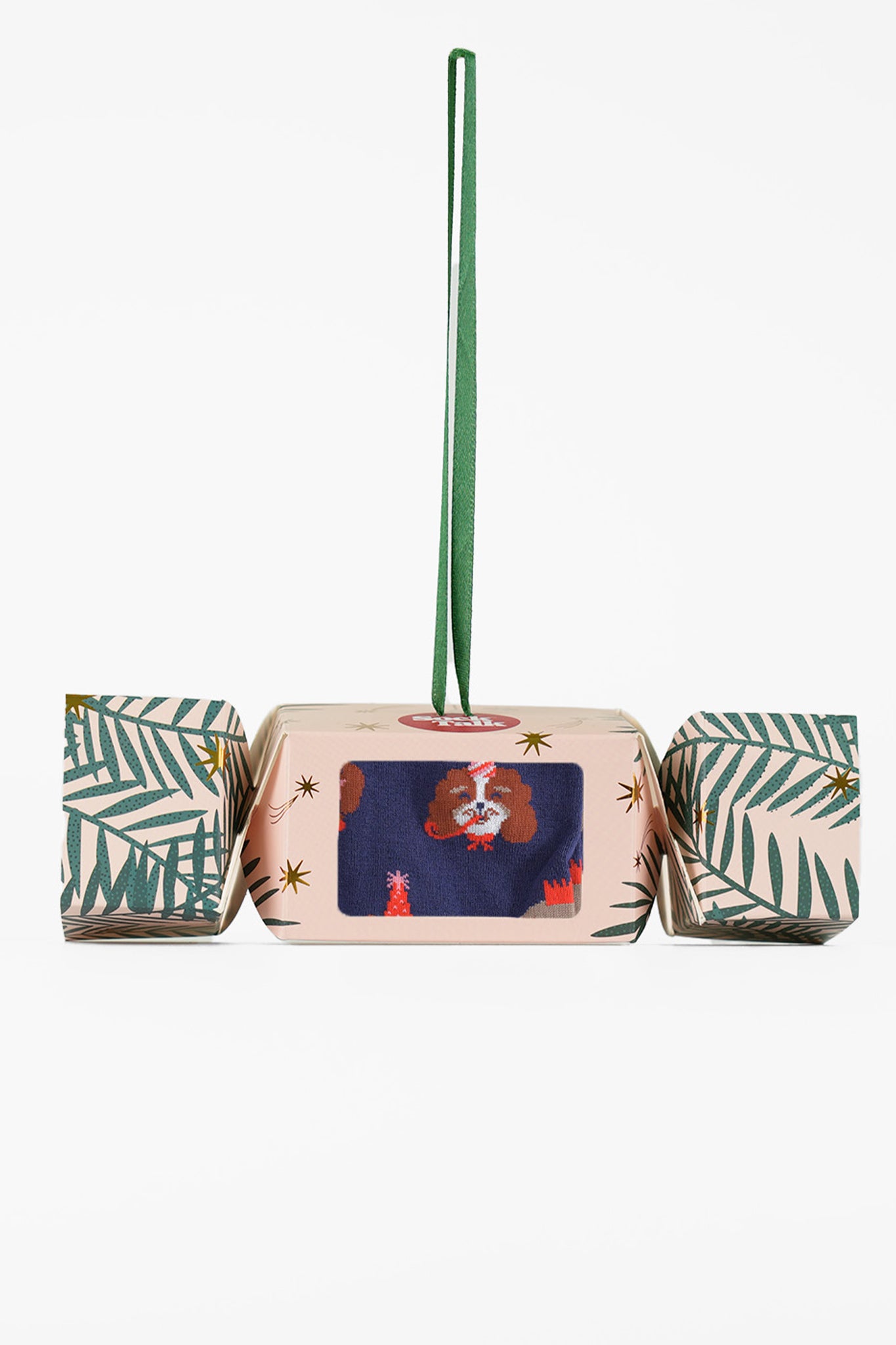 Party Dogs Bamboo Ankle Socks in a Christmas Cracker Gift Box