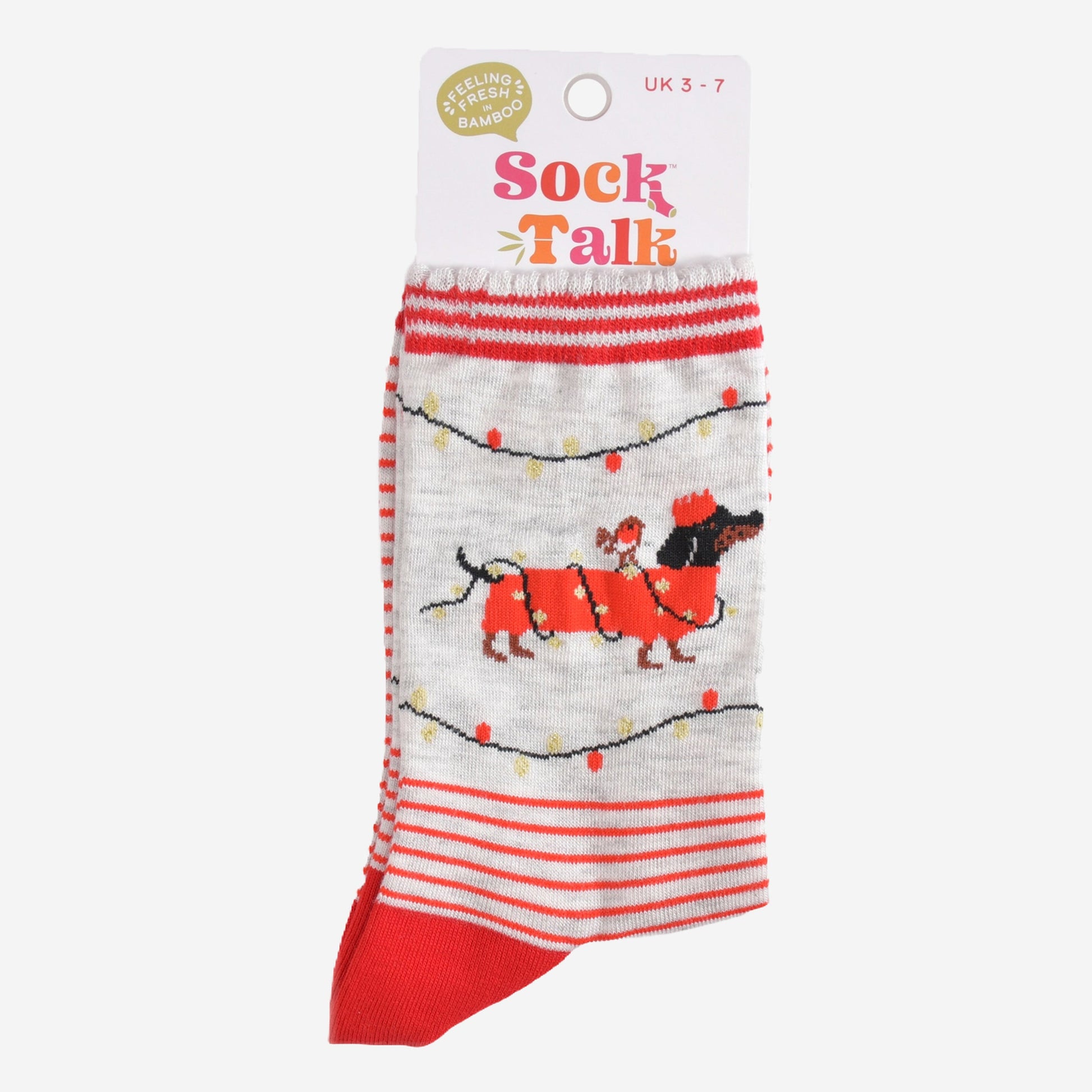 sausage dog party bamboo socks in their sock talk packaging, these socks are a uk size 3-7