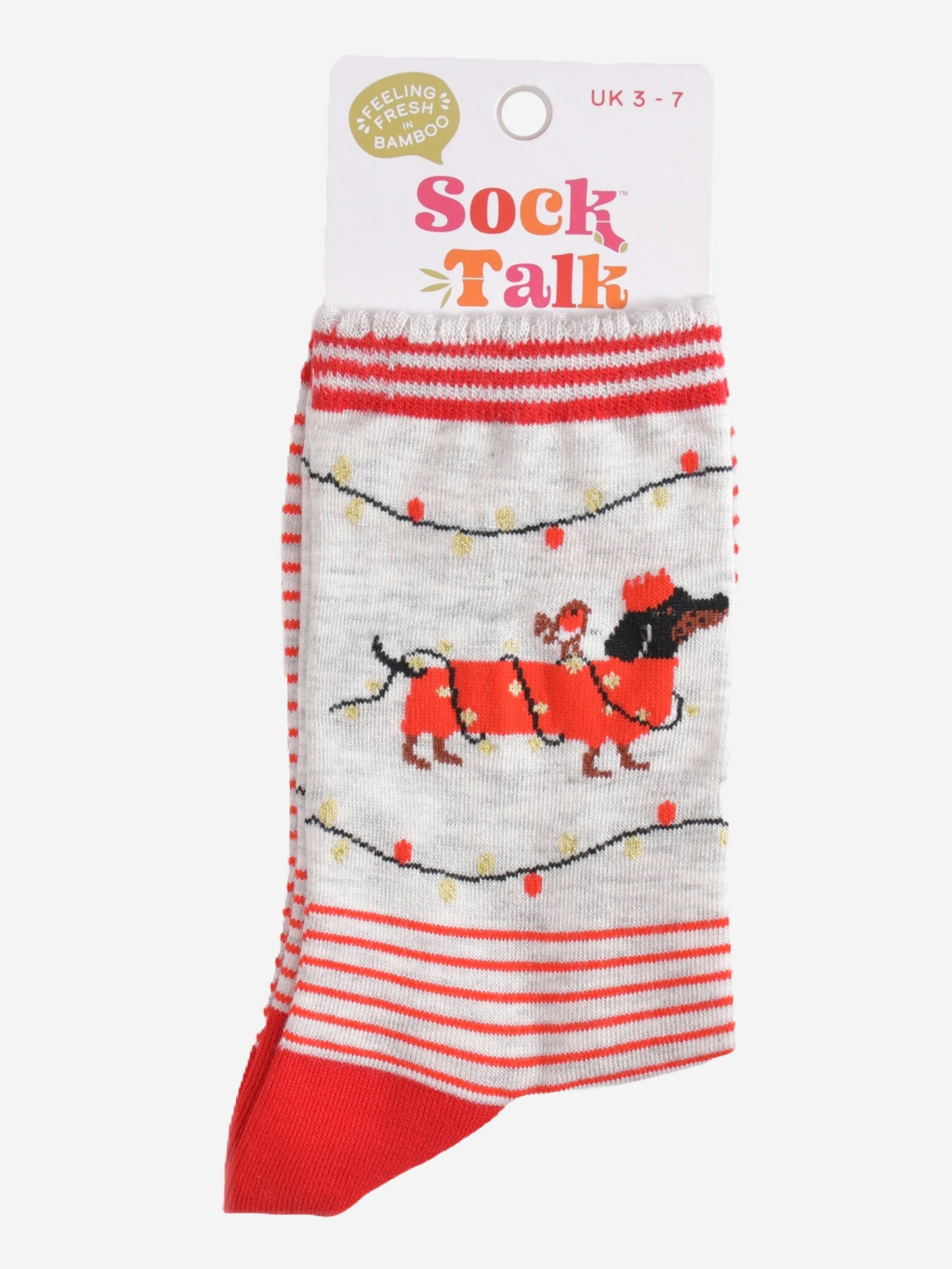 sausage dog party bamboo socks in their sock talk packaging, these socks are a uk size 3-7