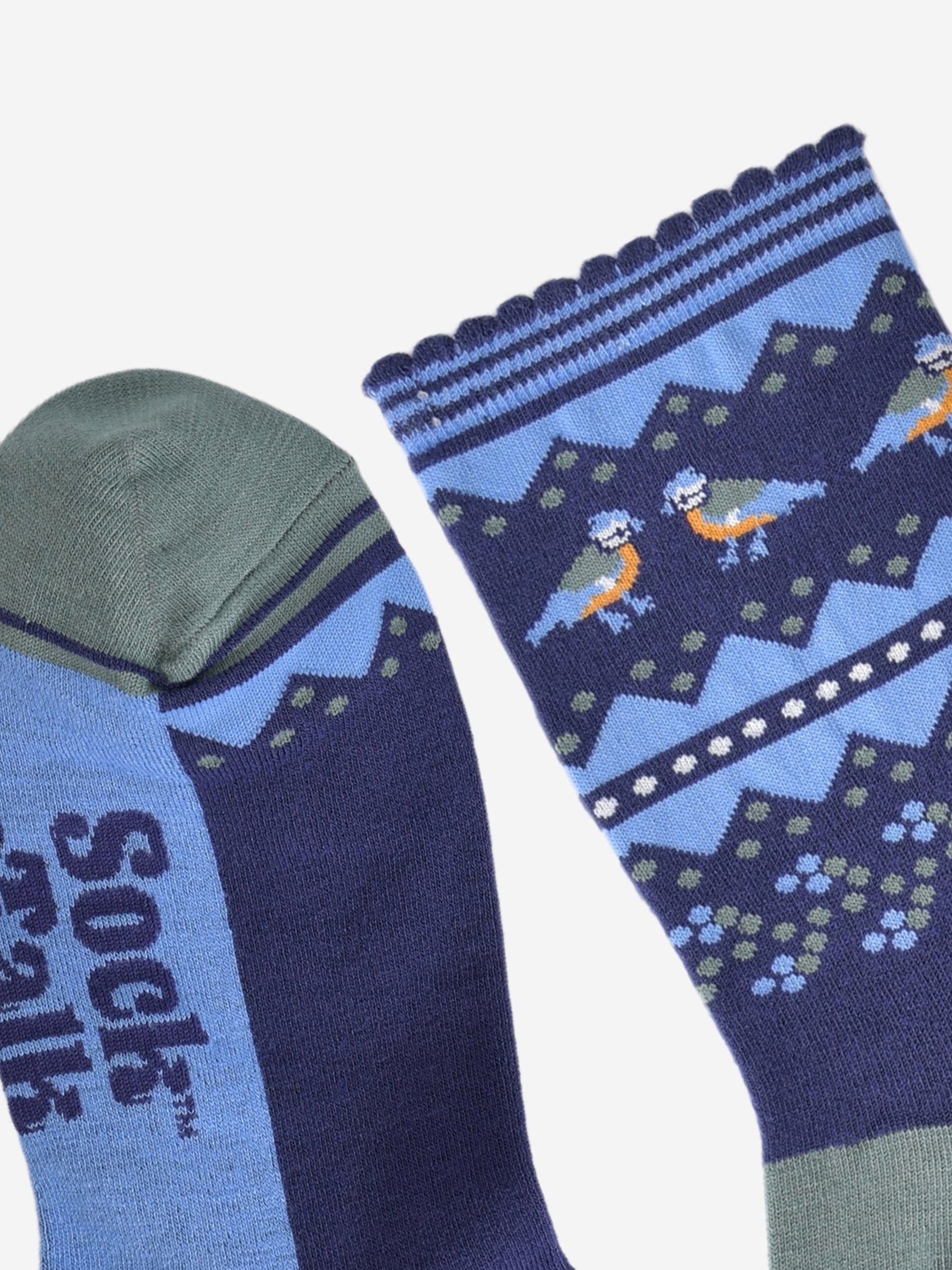 close up of the green toe and blue scalloped stripe cuff on the blue tit bird socks