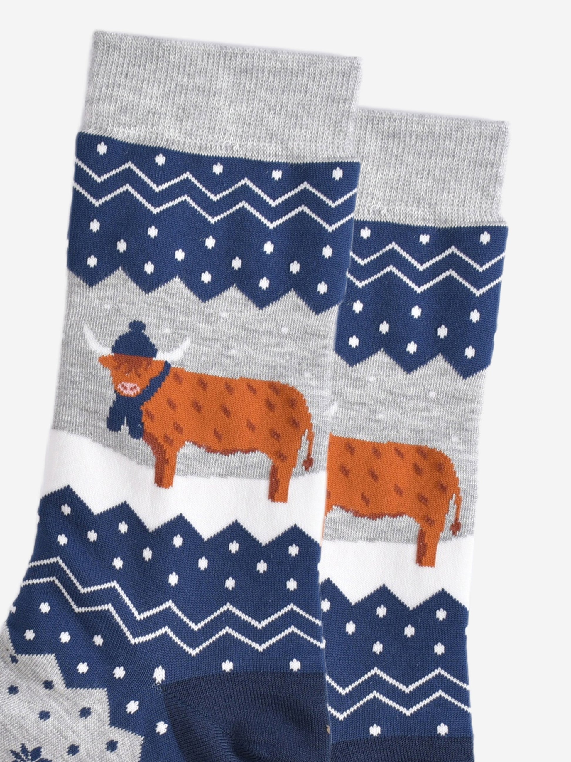 close up of the highland cow, it is standing in the snow and wearing a winter hat and scarf