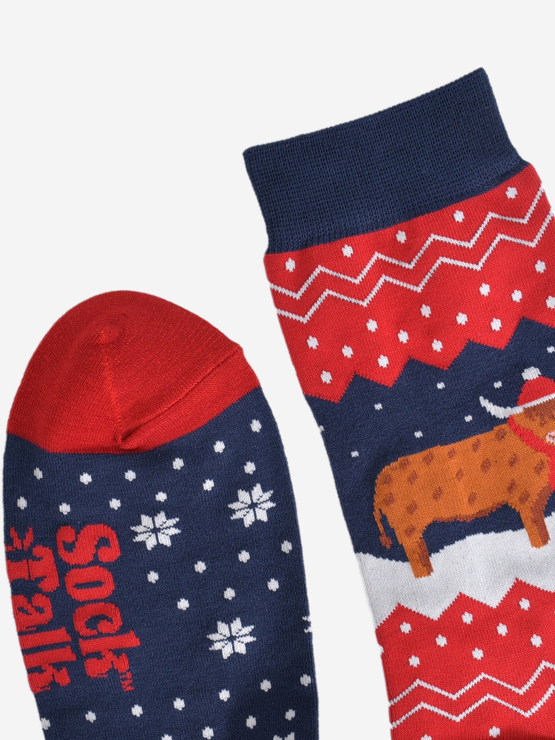 showing the toe and cuff of the socks, showing clearly the fair isle pattern and highland cow, the cow is wearing a winter hat and scarf