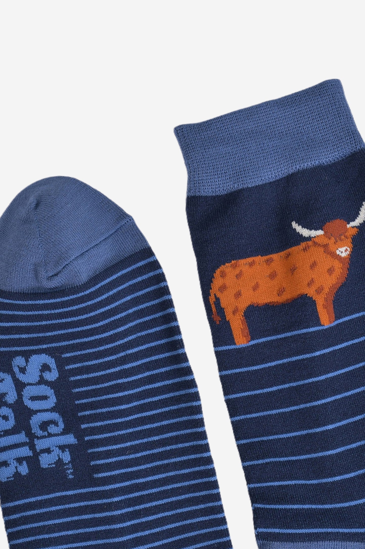 Men's Bamboo Socks - Navy Blue, Highland Cow Stripe