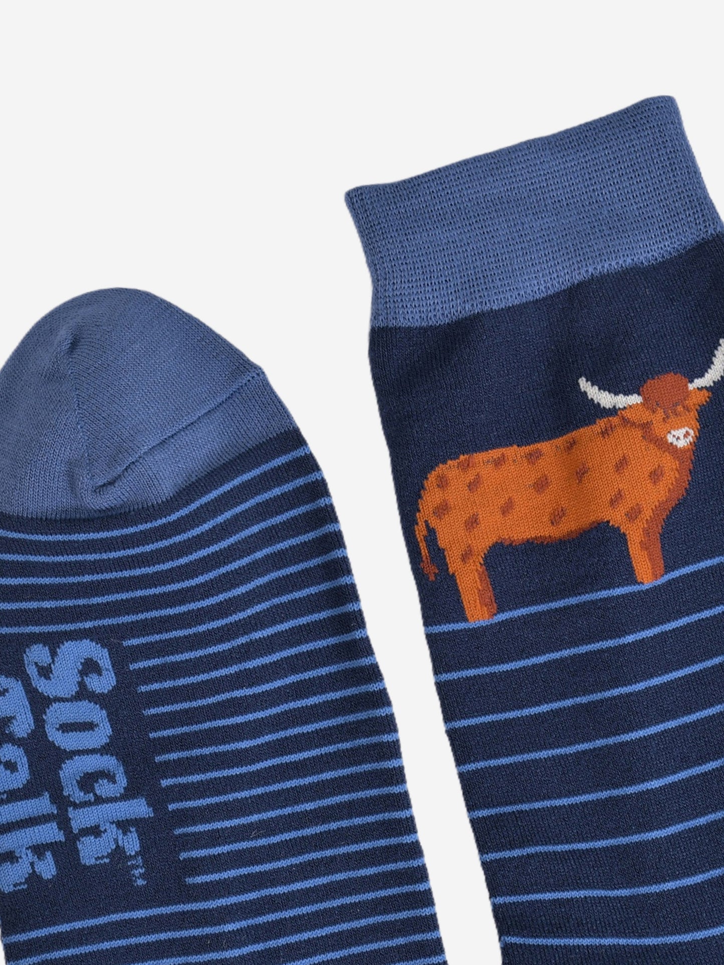 Men's Bamboo Socks - Navy Blue, Highland Cow Stripe