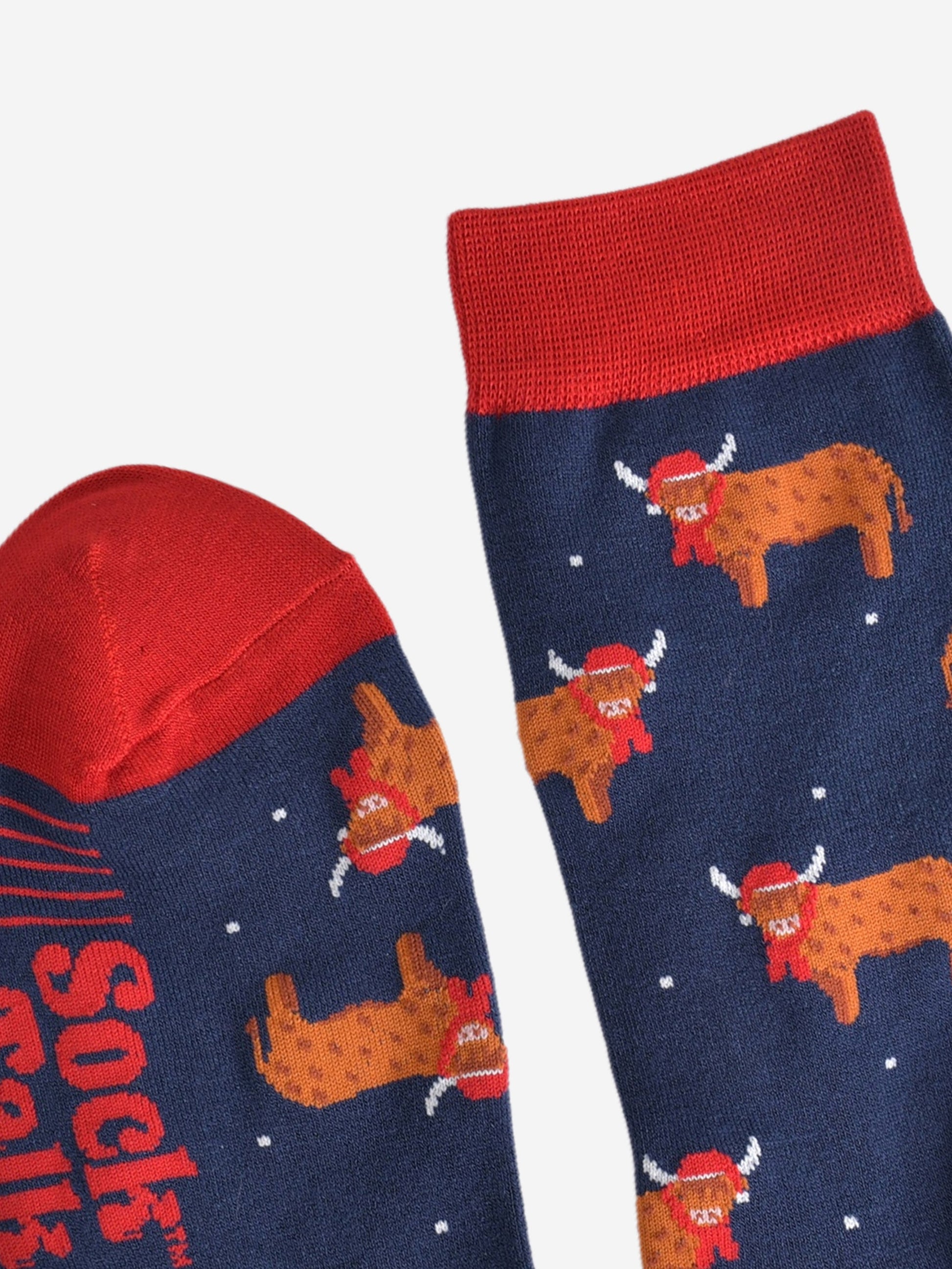 showing the toe and cuff of the highland cow socks, showing the stripe detail on the sole and a close up of the highland cow pattern