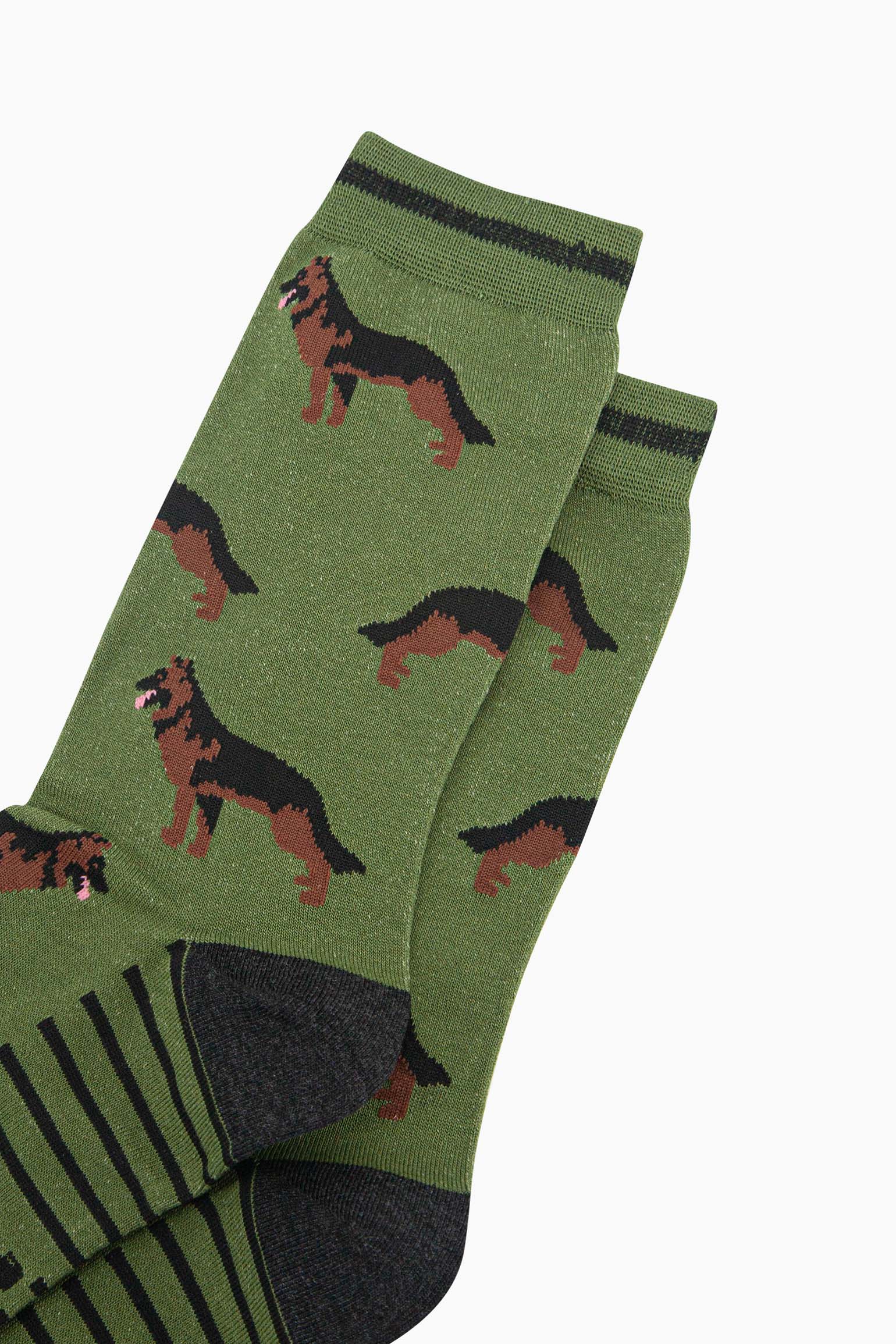 mens-bamboo-socks-green-alsatian-german-shepherd-close-up-standing-dogs