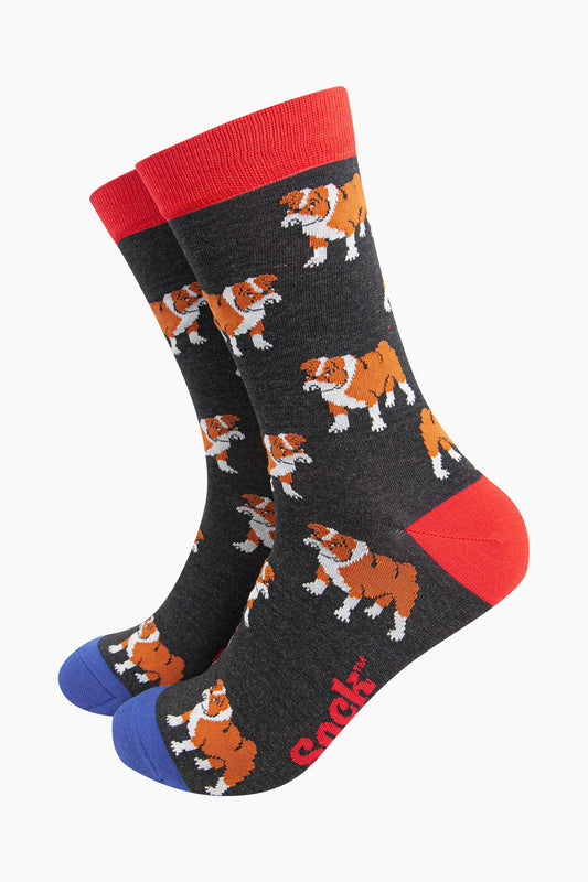 mens-bamboo-socks-black-bulldog-pattern-repeating-dogs