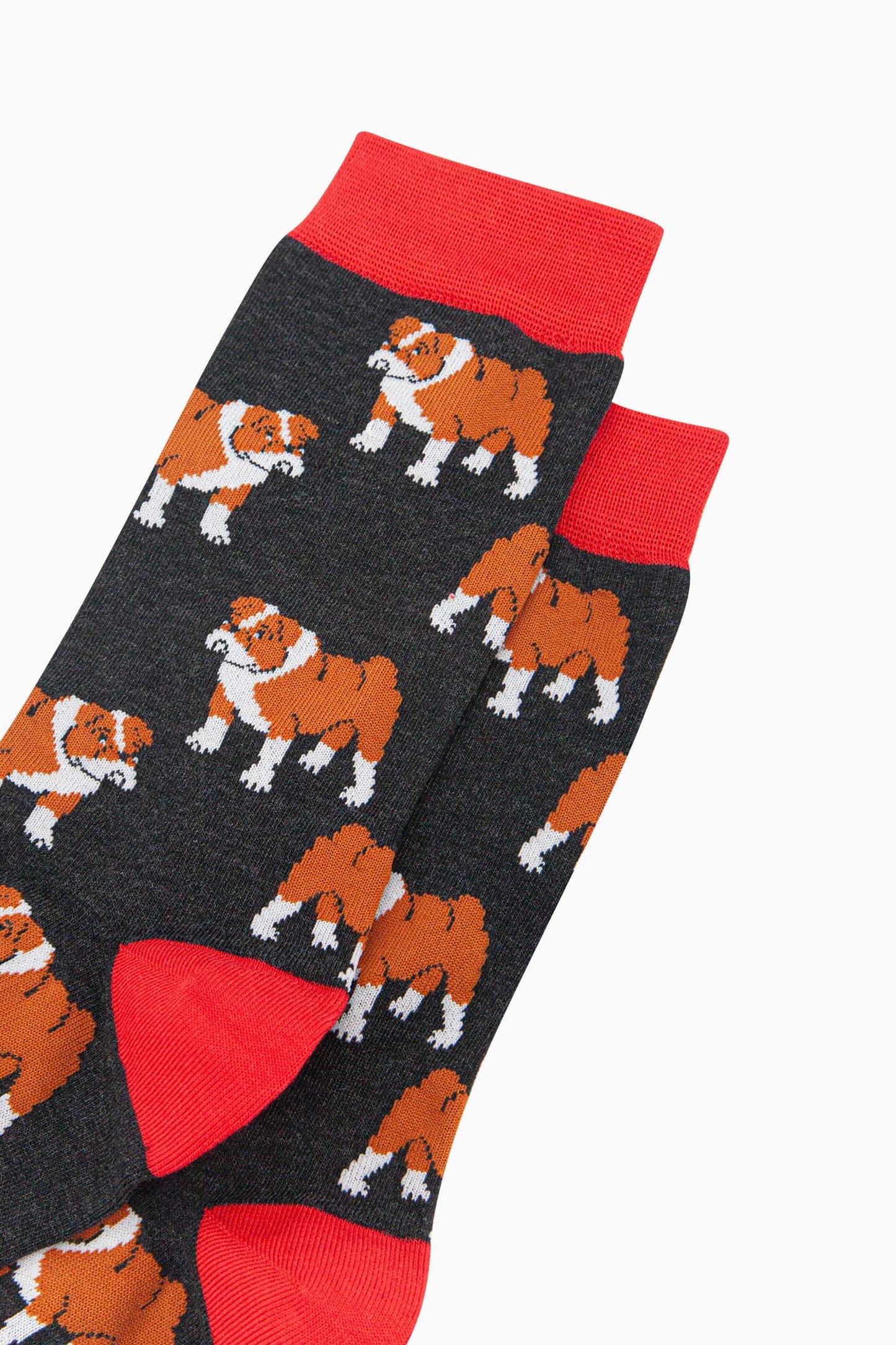 mens-bamboo-socks-black-bulldog-close-up-brown-white-english-bulldogs