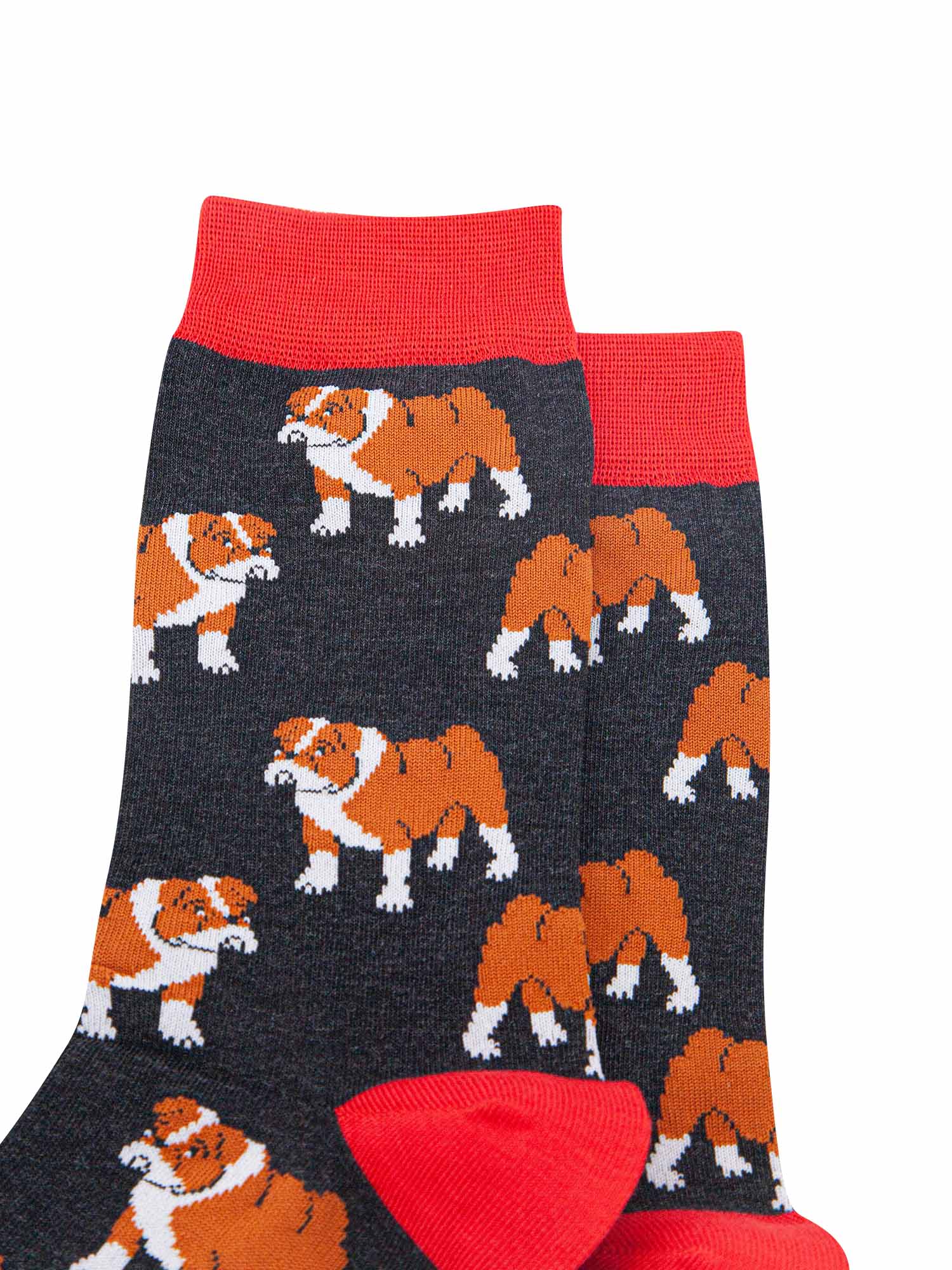 mens-bamboo-socks-black-bulldog-close-up-brown-white-english-bulldogs