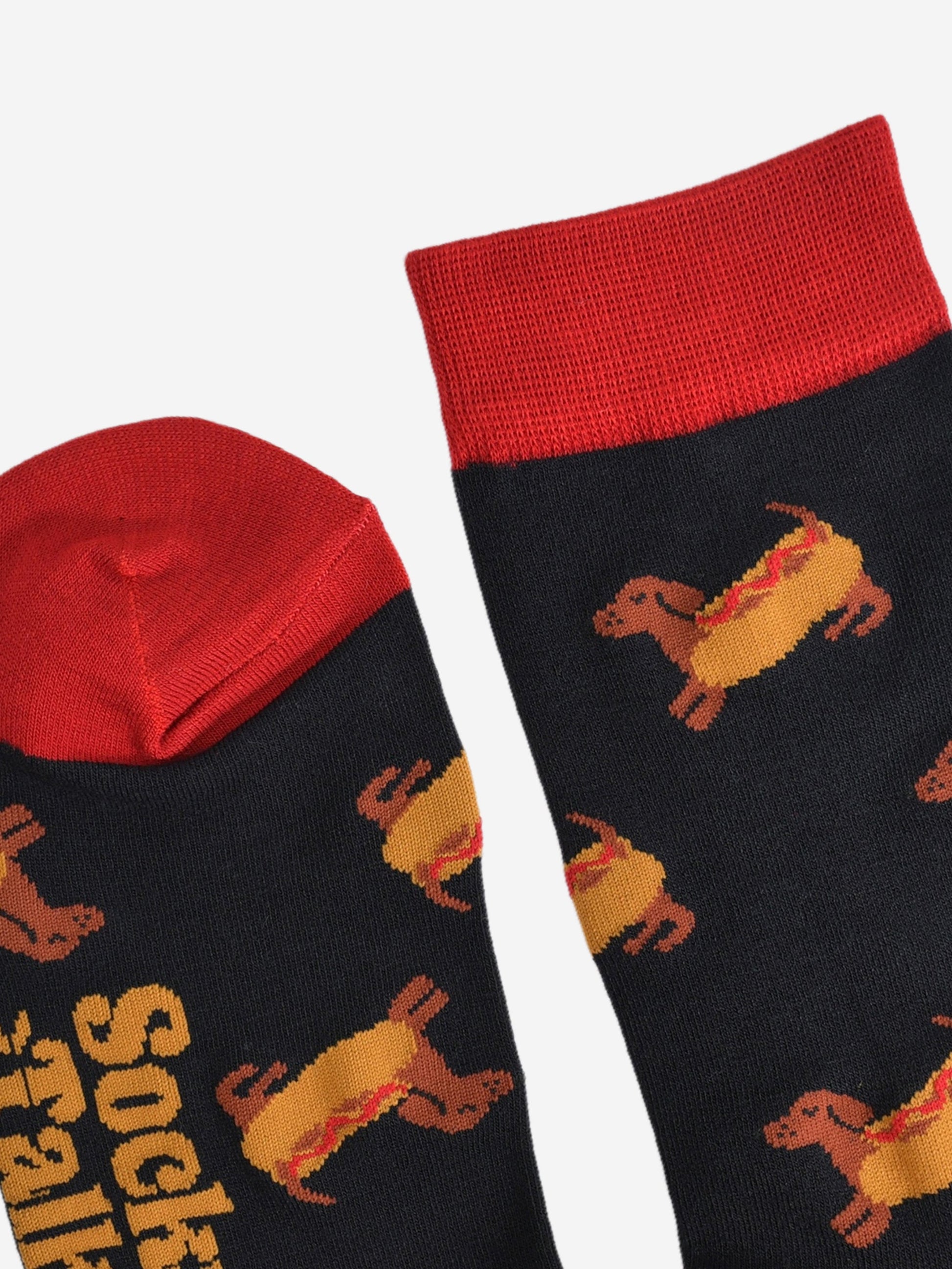 close up of the sausage dogs wearing a hotdog bun on the socks