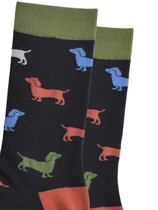 close up of the colourful sausage dog pattern on the socks
