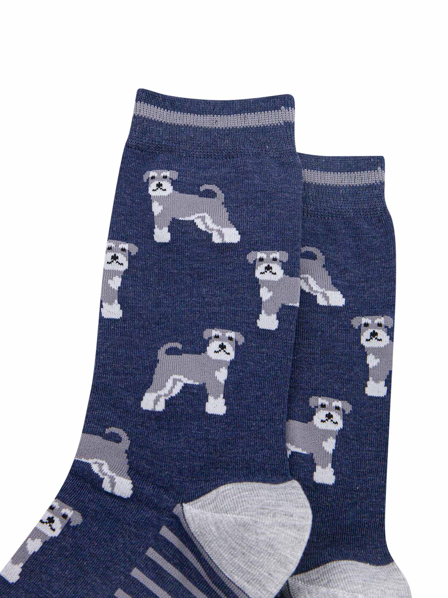 mens-bamboo-socks-navy-schnauzer-close-up-grey-dogs-white-beards-on-blue-background