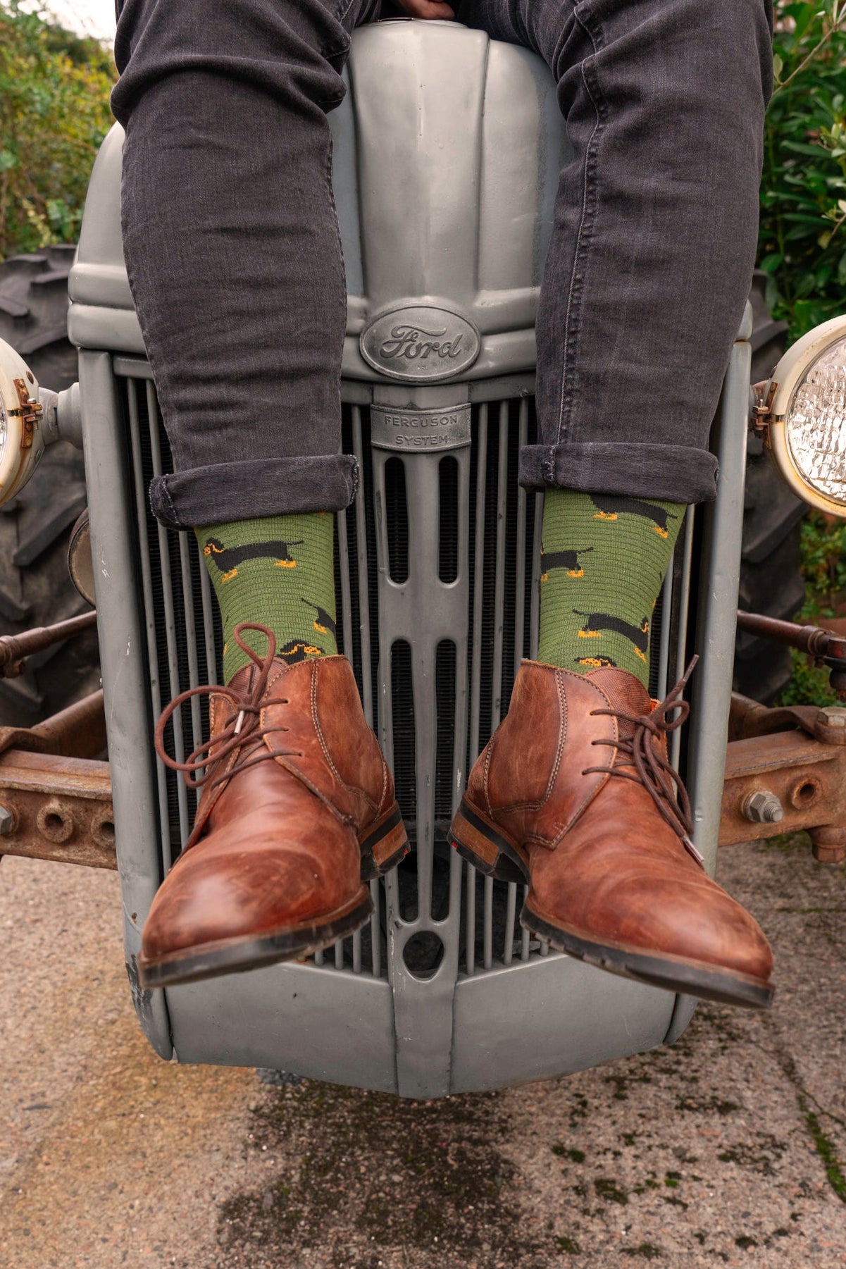 Men's Bamboo Socks - Khaki/Dark Green, Sausage Dog & Stripes