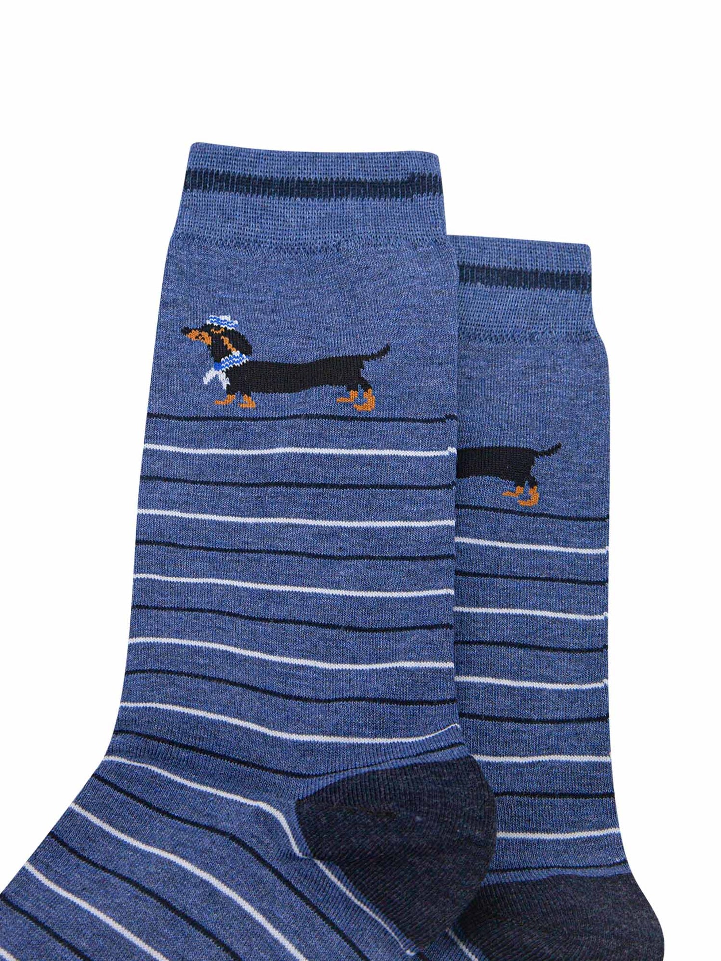 mens-bamboo-socks-denim-blue-sausage-dog-sailor-stripe-close-up-dachshuns-naval-uniforn