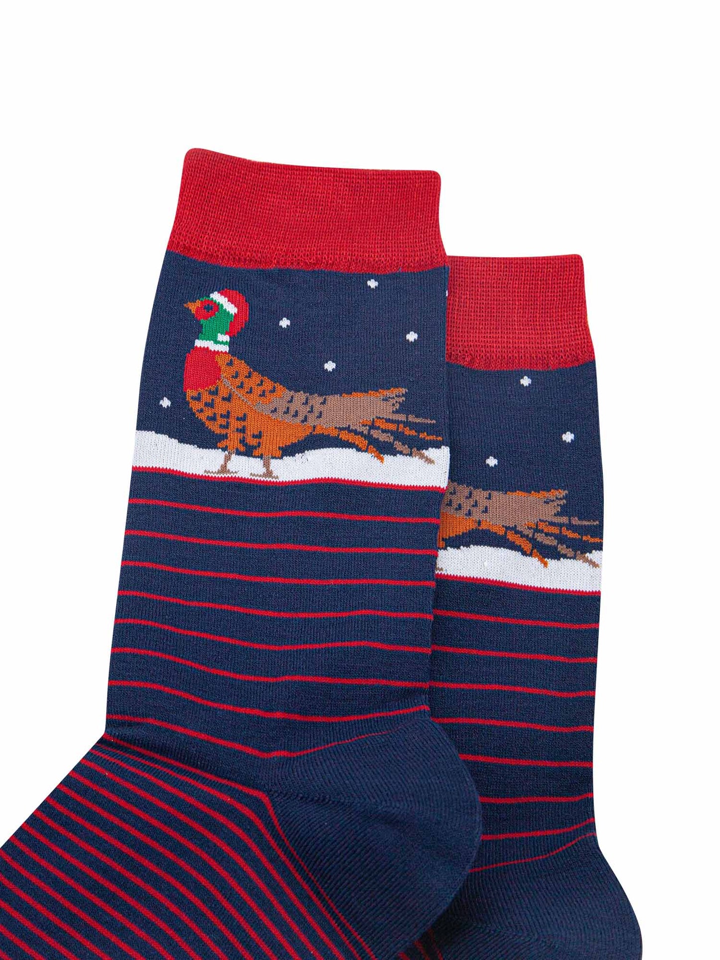 close up of the pheasant on the ankle of the socks, it is walking on snow and wearing a red santa hat, there are small white snowflakes falling around it
