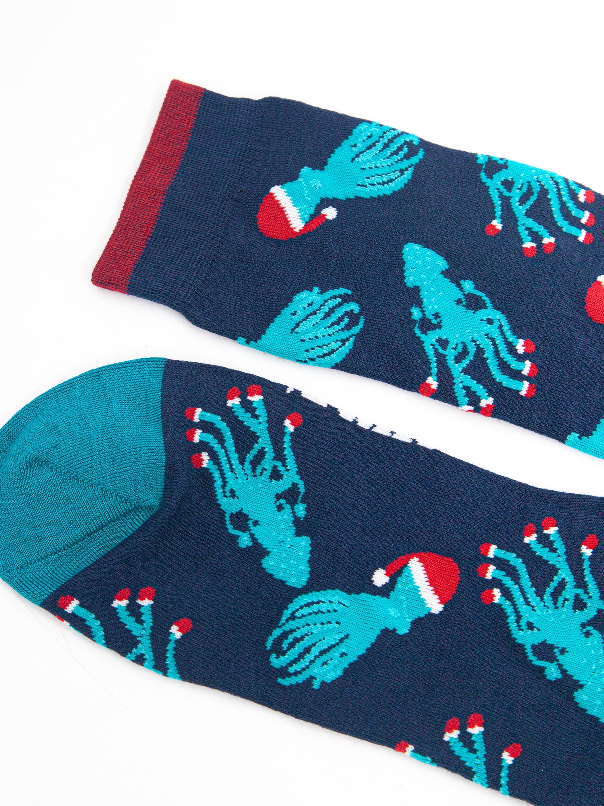 close up of the toe and cuff, the toe is teal blue, the cuff has burgundy red stripe on the edge