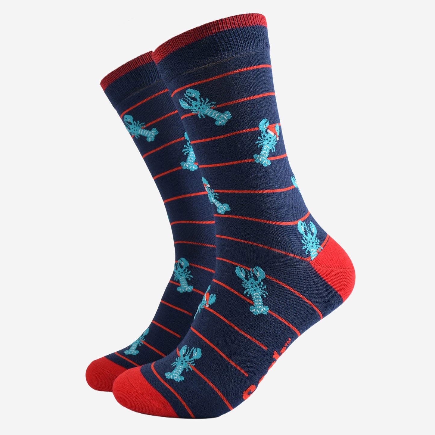 navy blue socks with a red horizontal pin stripe with a pattern of blue lobsters wearing santa hats