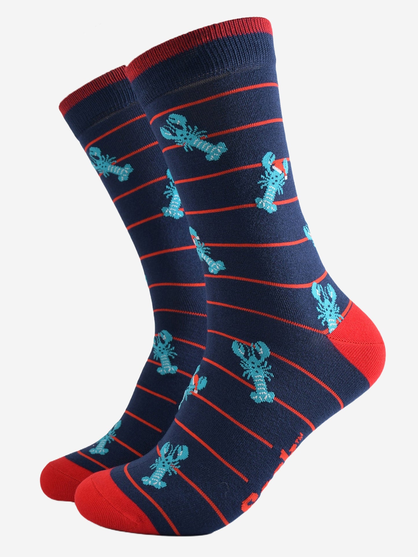 navy blue socks with a red horizontal pin stripe with a pattern of blue lobsters wearing santa hats