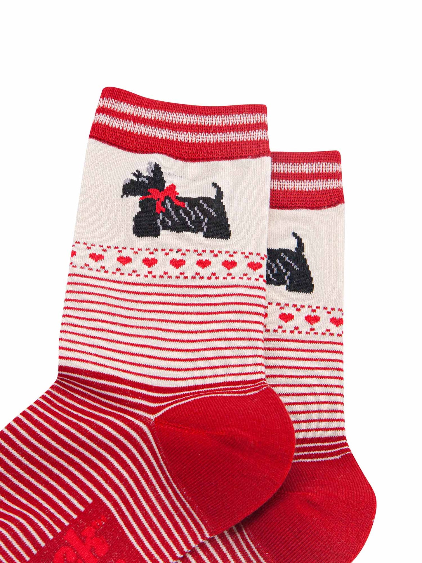 womens-bamboo-socks-cream-red-scottish-terriers-stripes-close-up-black-dog