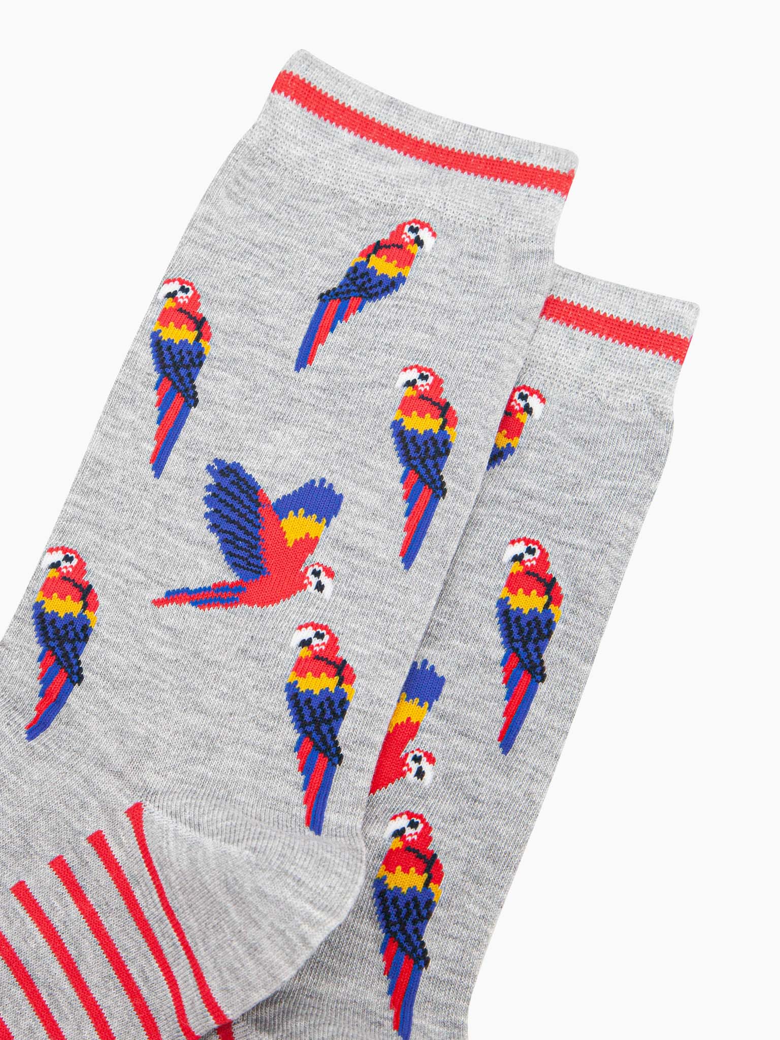 mens-bamboo-socks-grey-macaw-parrot-close-up-red-blue-yellow-birds