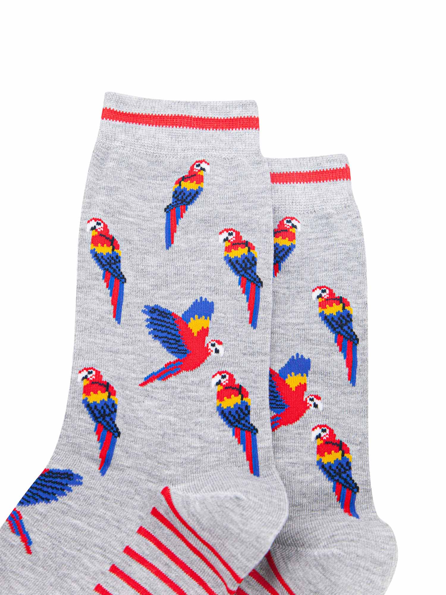 mens-bamboo-socks-grey-macaw-parrot-close-up-red-blue-yellow-birds