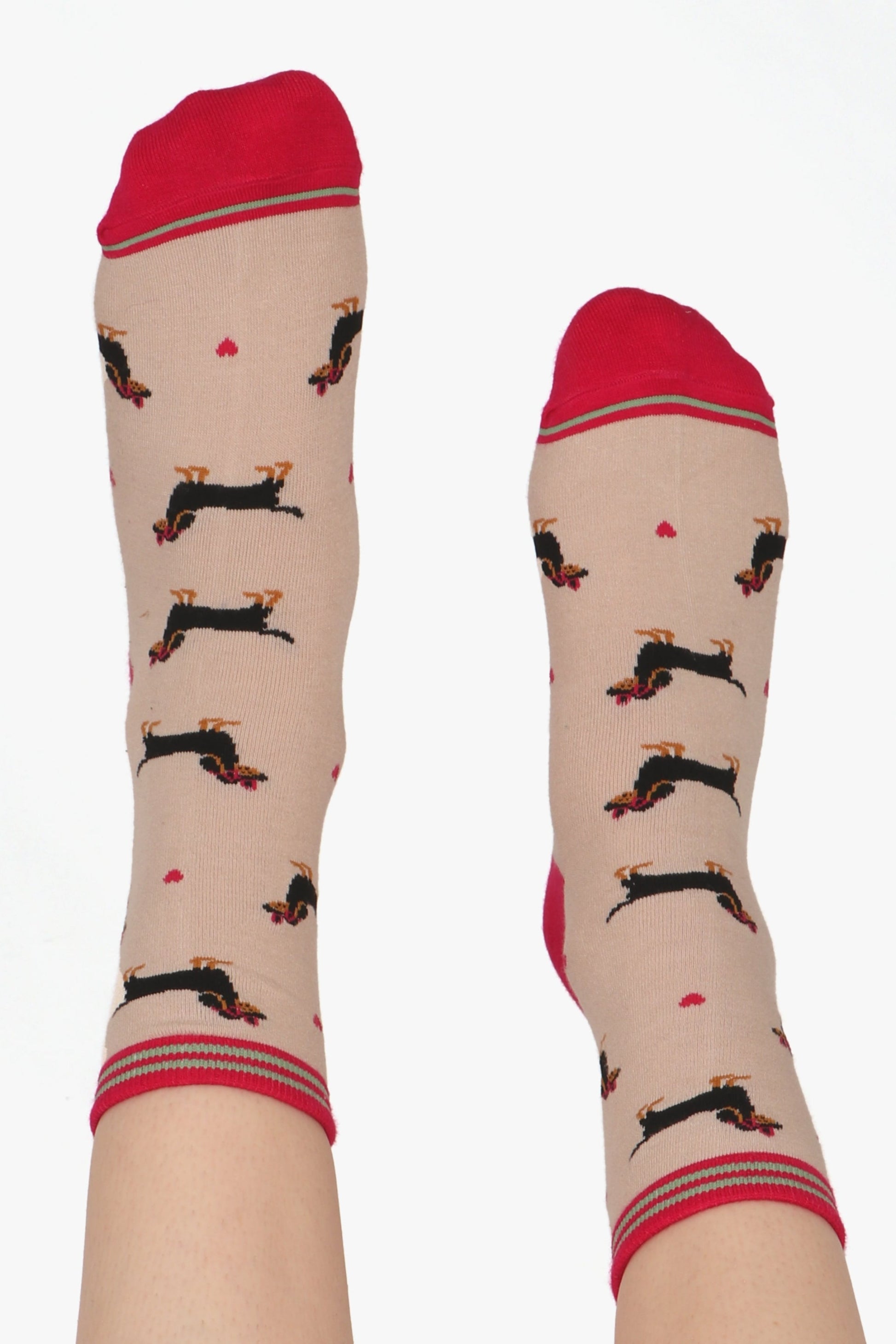 Ladies feet posed straight in the air showing sausage dog print bamboo socks. Pink contrasting toe detail highlighted