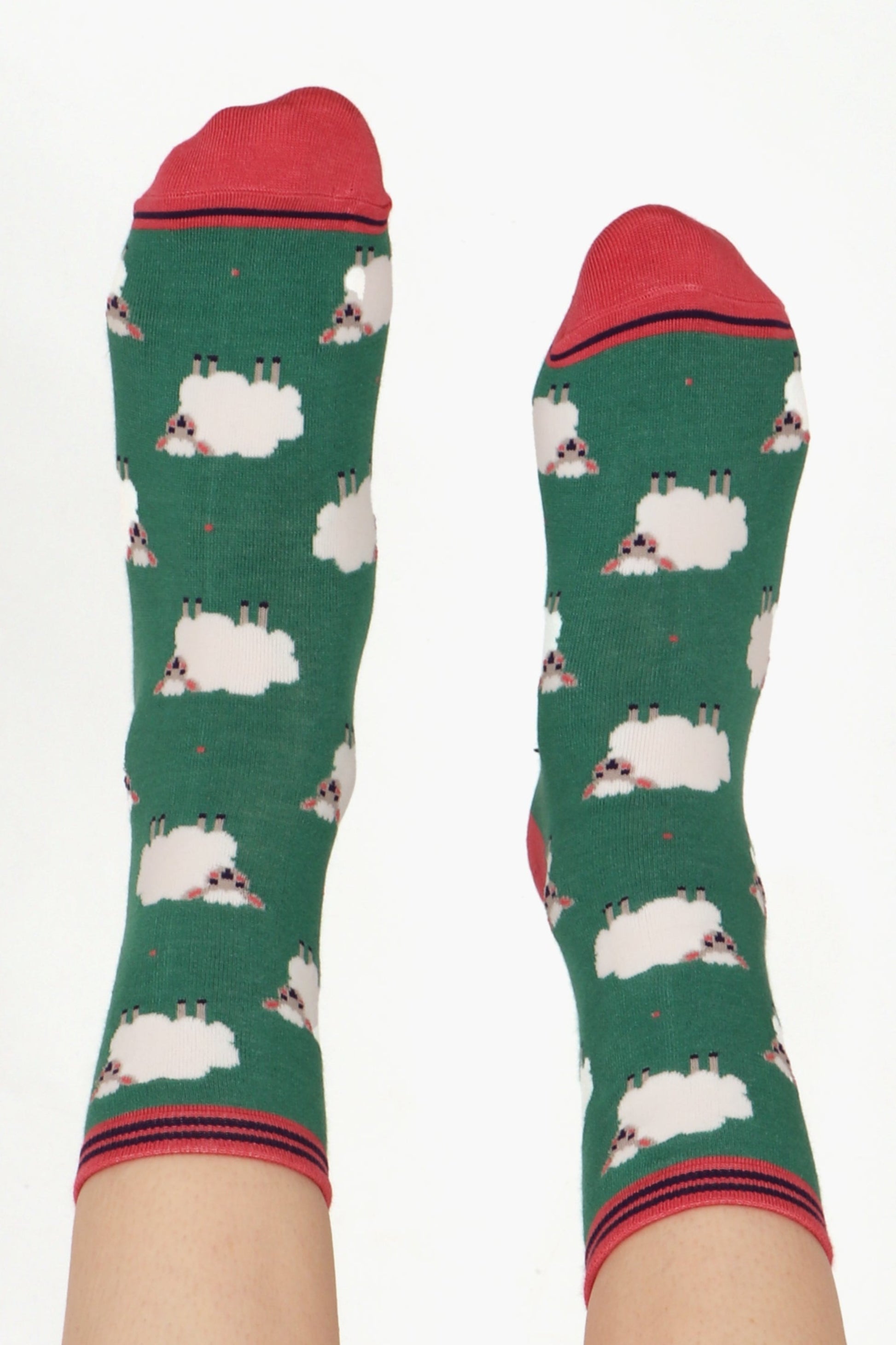 Ladies feet straight in the air wearing sheep lamb print bamboo socks. Contrasting pink toe and cuff can be seen