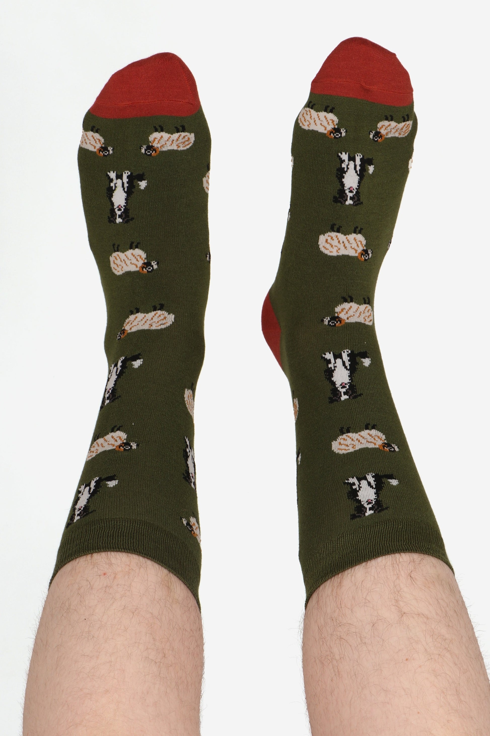 Men's feet wearing green border collie and sheep print bamboo socks. Feet are in the air. Constrasting toe detail in terracotta orange can be seen