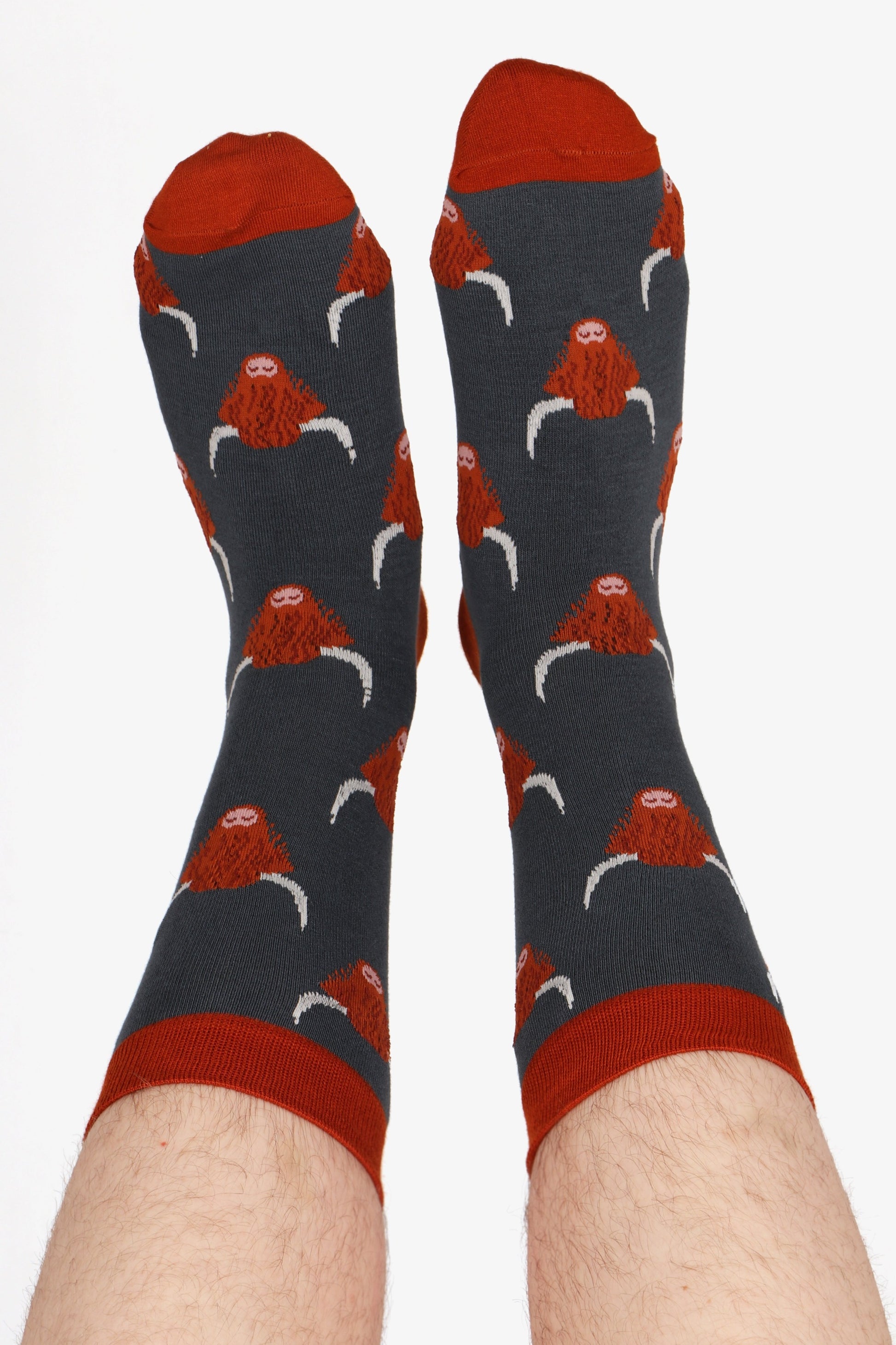 Men's feet in the air wearing men's highland cow print bamboo socks.