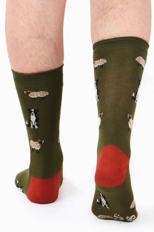 Men's feet walking away from camera. Male model is wearing sock talk bamboo socks in sheep and border collie print. Sock is in green tones with contrasting terracotta tone heel colour