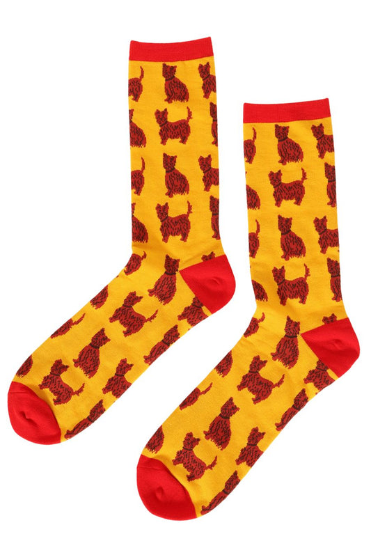 yellow socks with a red heel, toe and cuff with an all over pattern of red schnauzer dogs