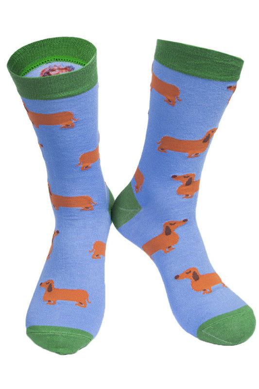 blue and green dress socks with an all over dachshund dog print