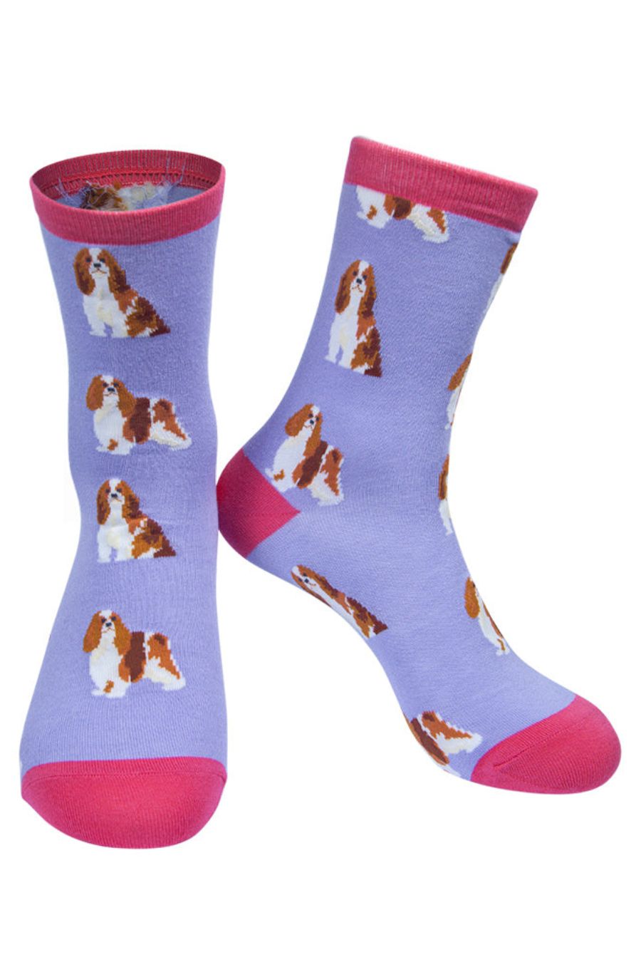 lilac and hot pink women's bamboo ankle socks with an all over pattern of king charles spaniels